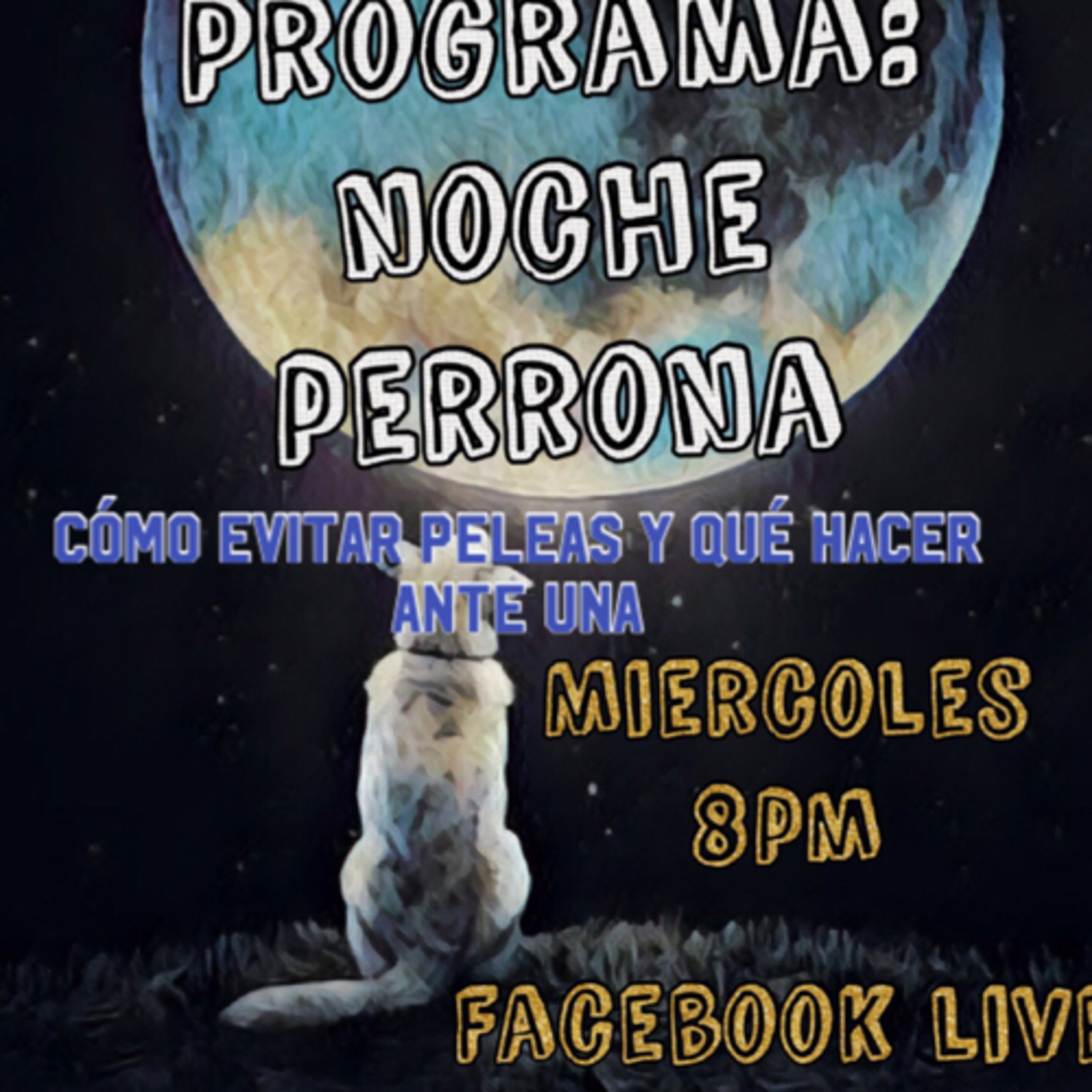 Preguntale al Entrenador