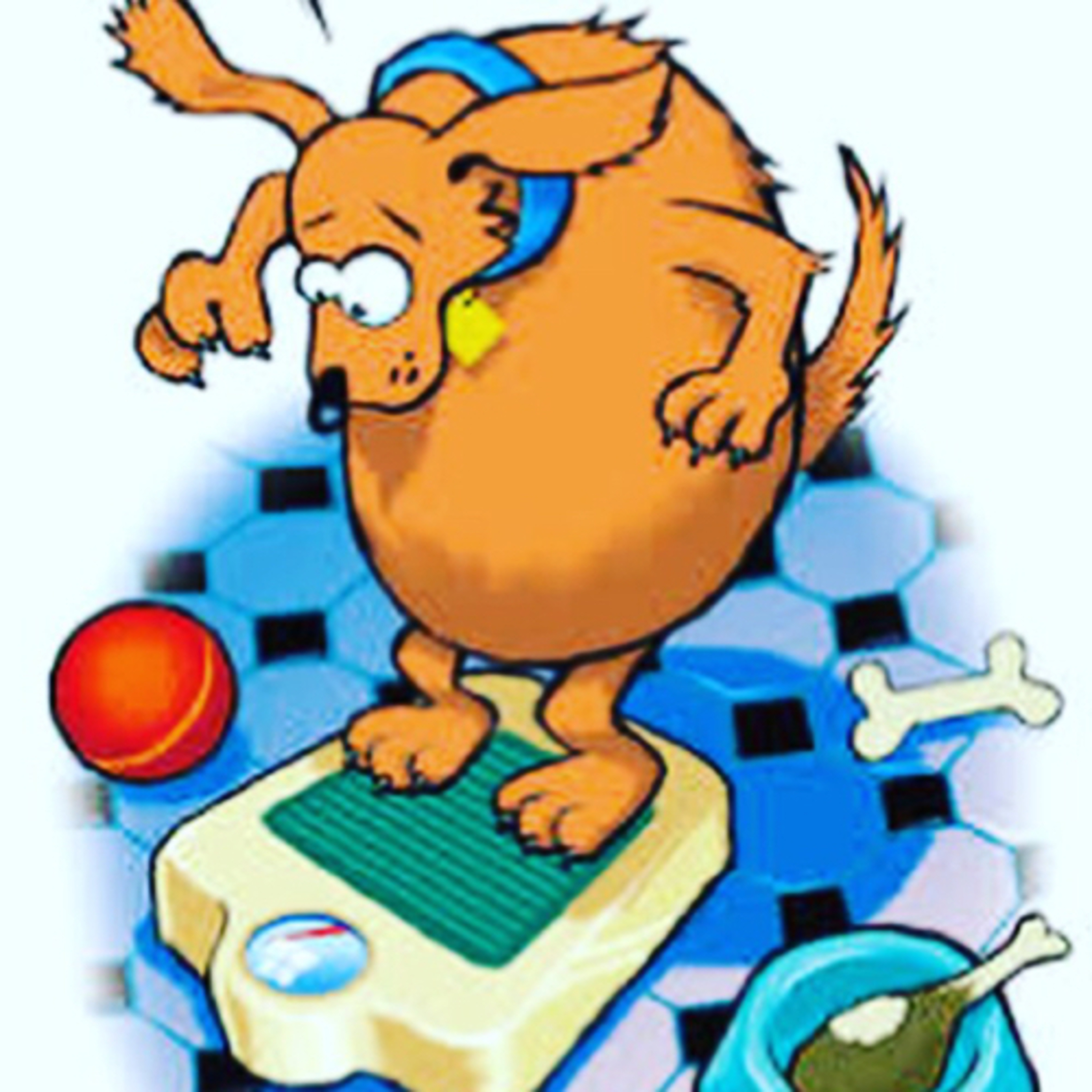 Preguntale al Entrenador