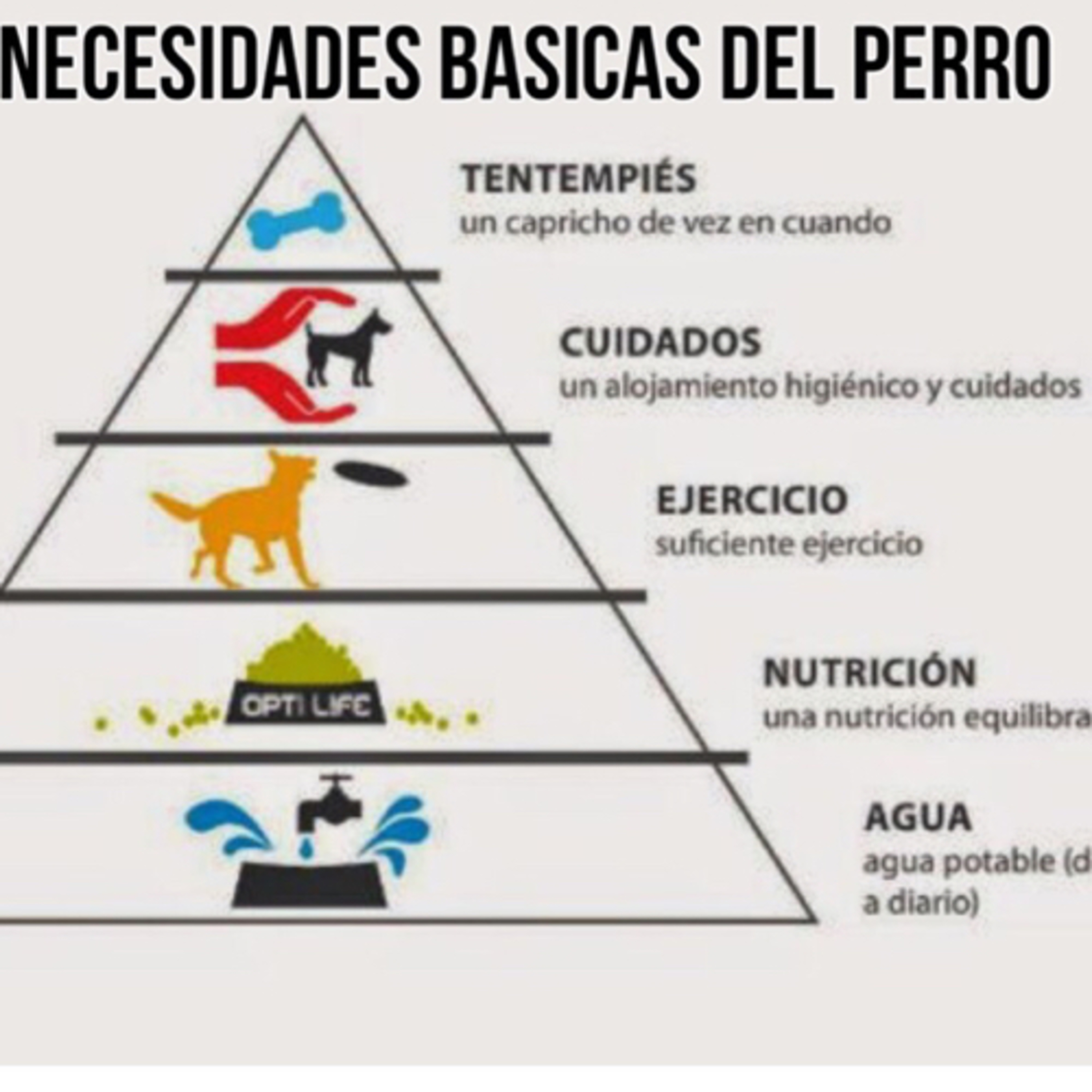 Preguntale al Entrenador