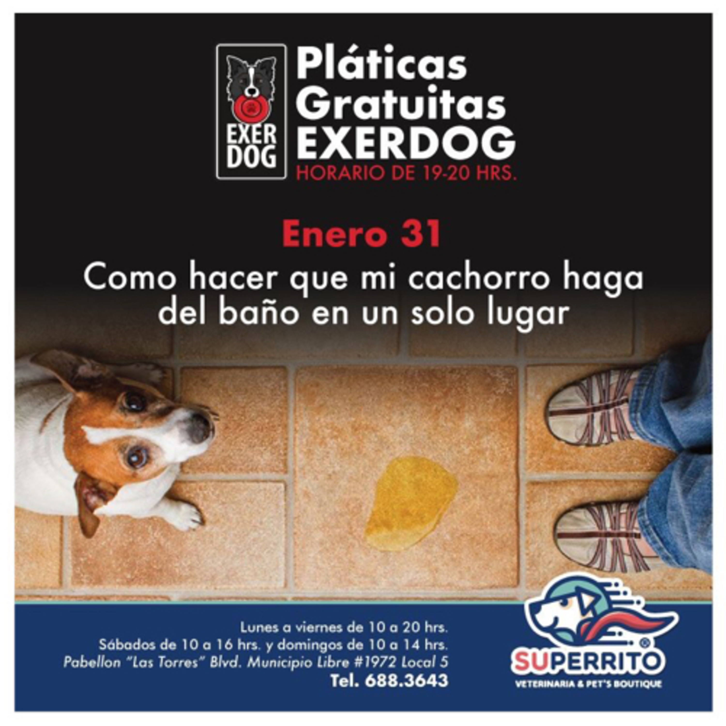 Preguntale al Entrenador