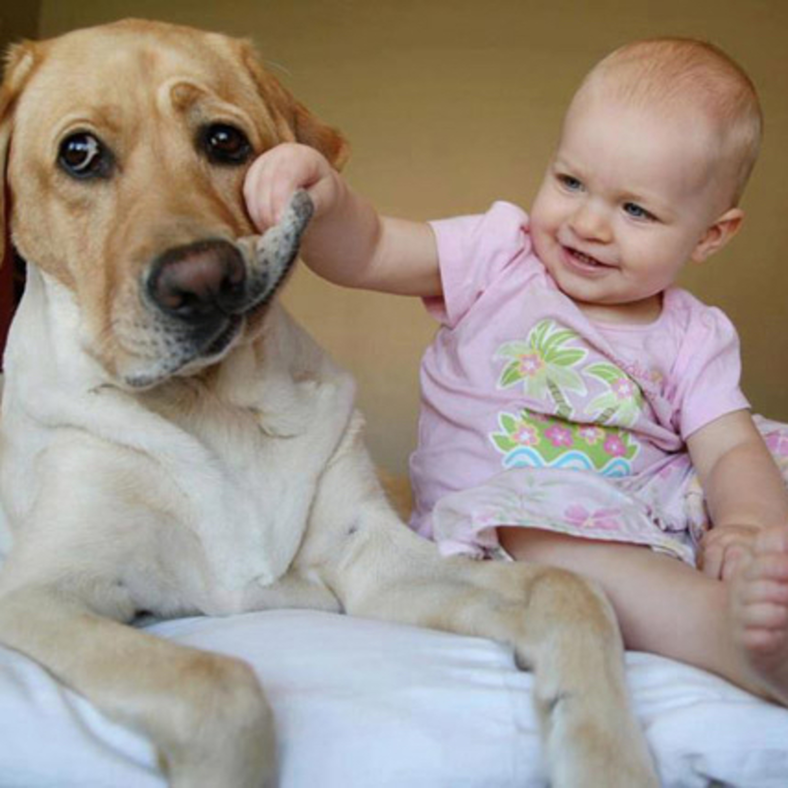 Preguntale al Entrenador