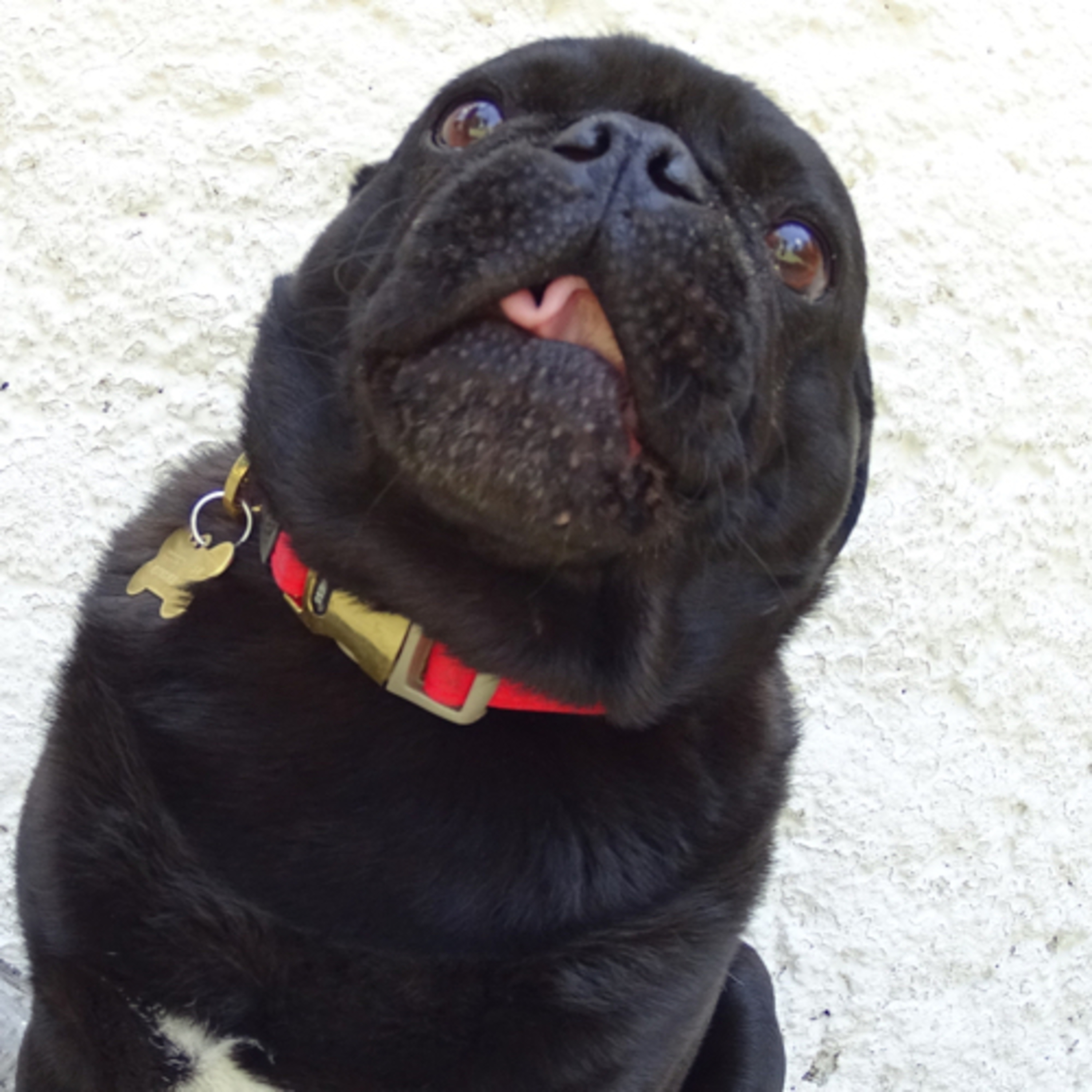 Preguntale al Entrenador