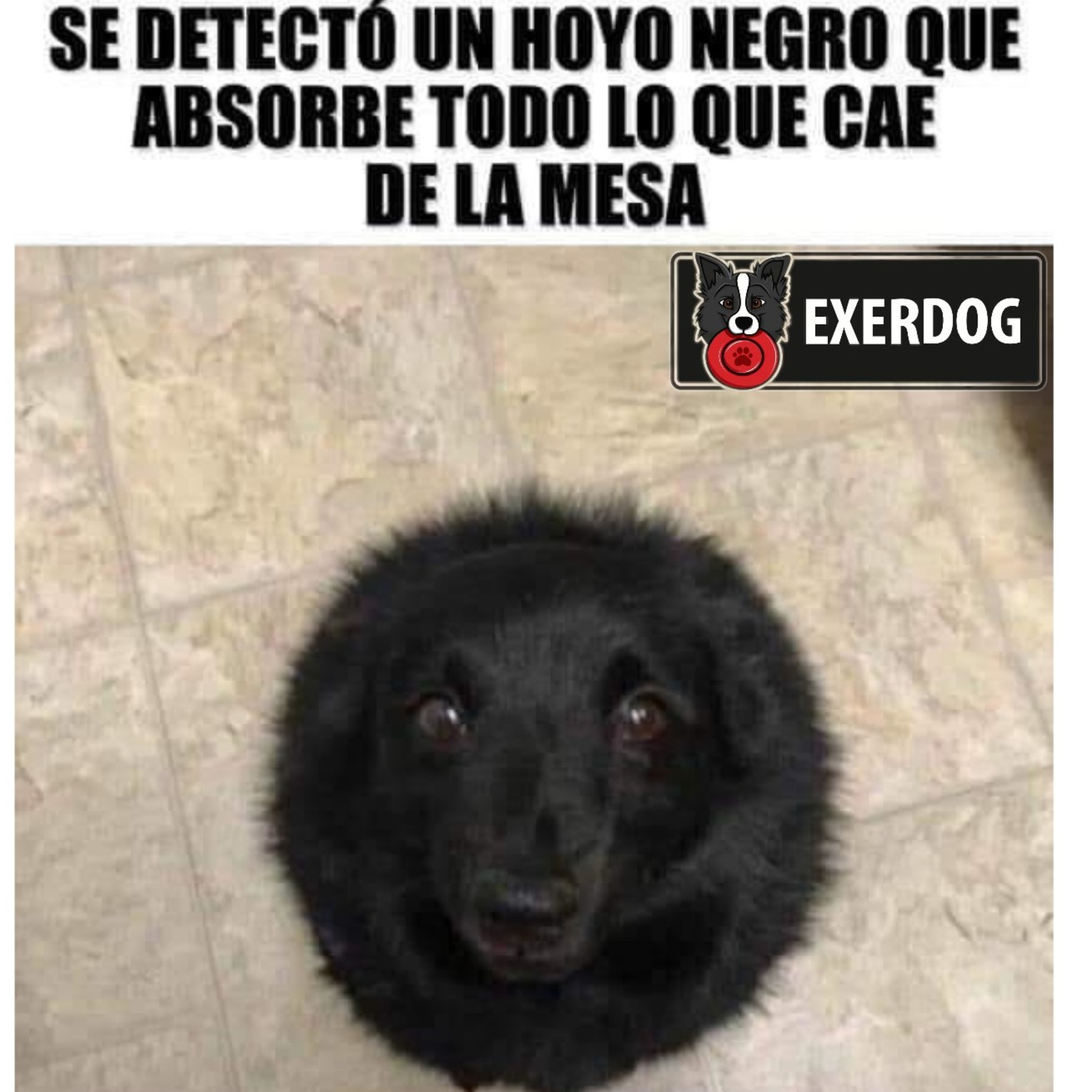 Preguntale al Entrenador