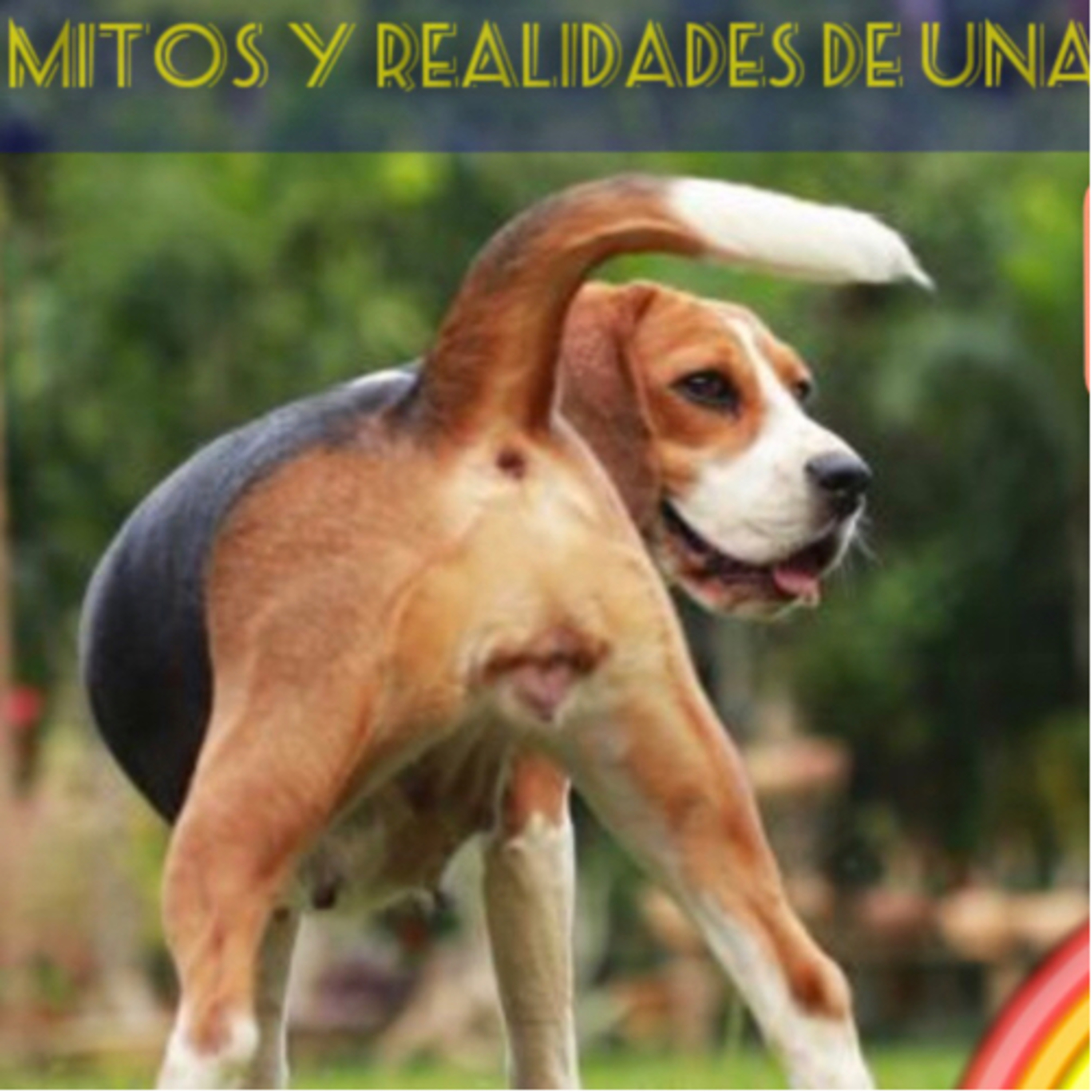 Preguntale al Entrenador