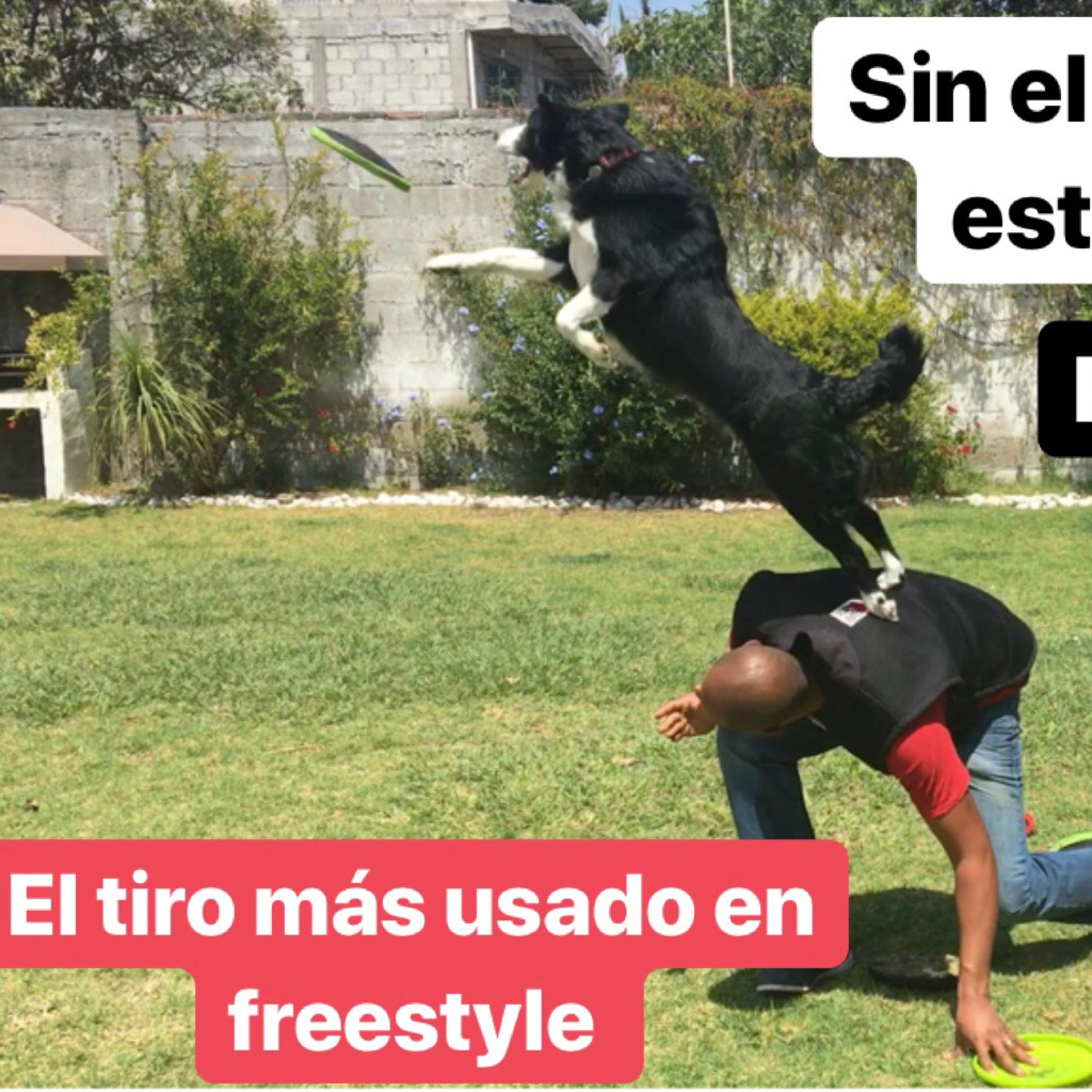 Preguntale al Entrenador