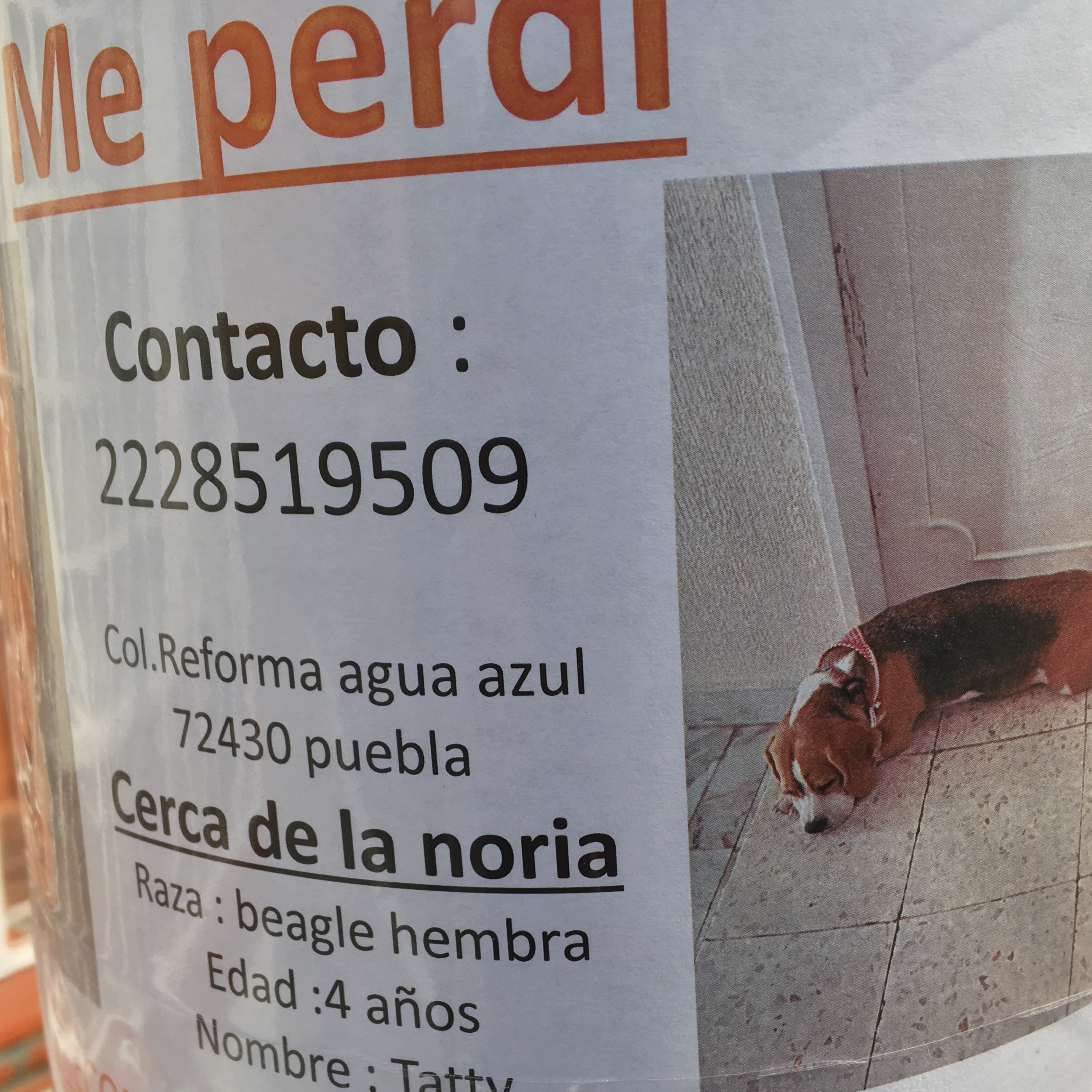 Preguntale al Entrenador