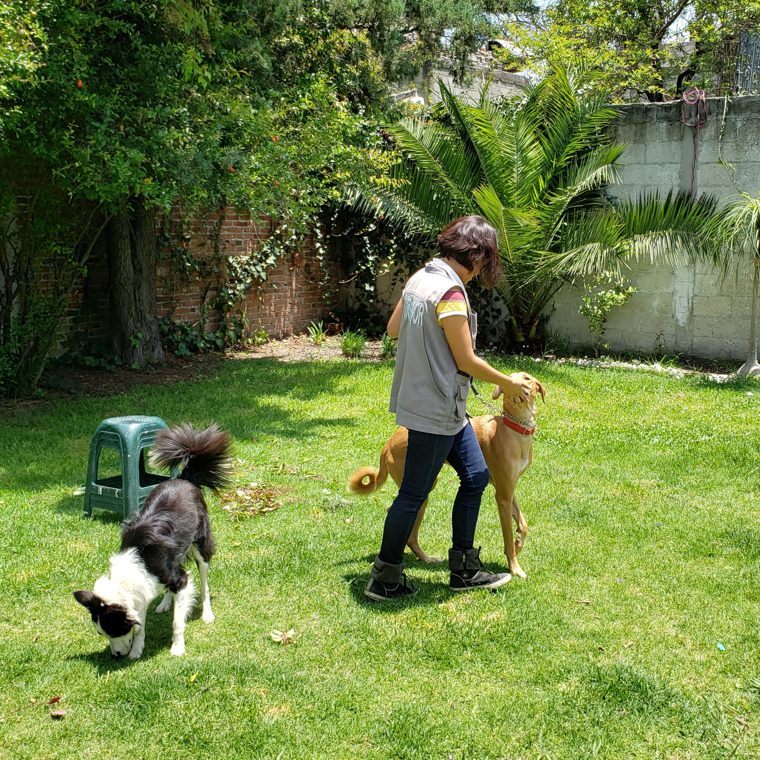 Preguntale al Entrenador