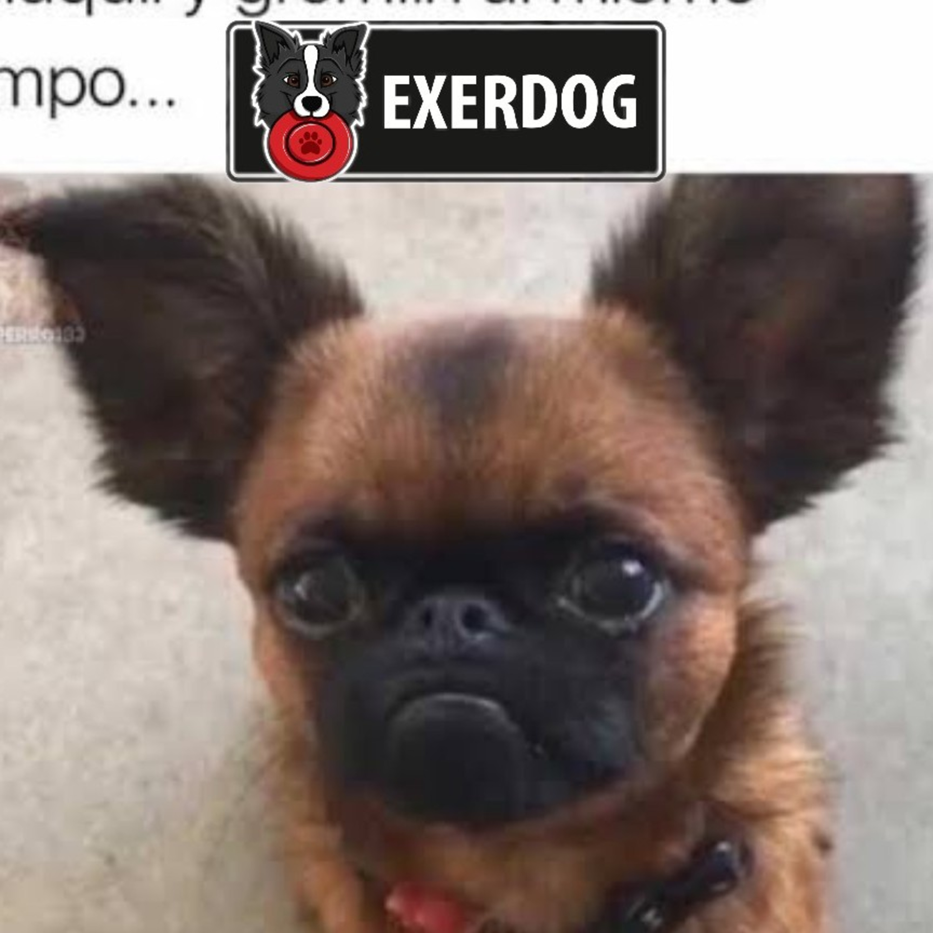 Preguntale al Entrenador