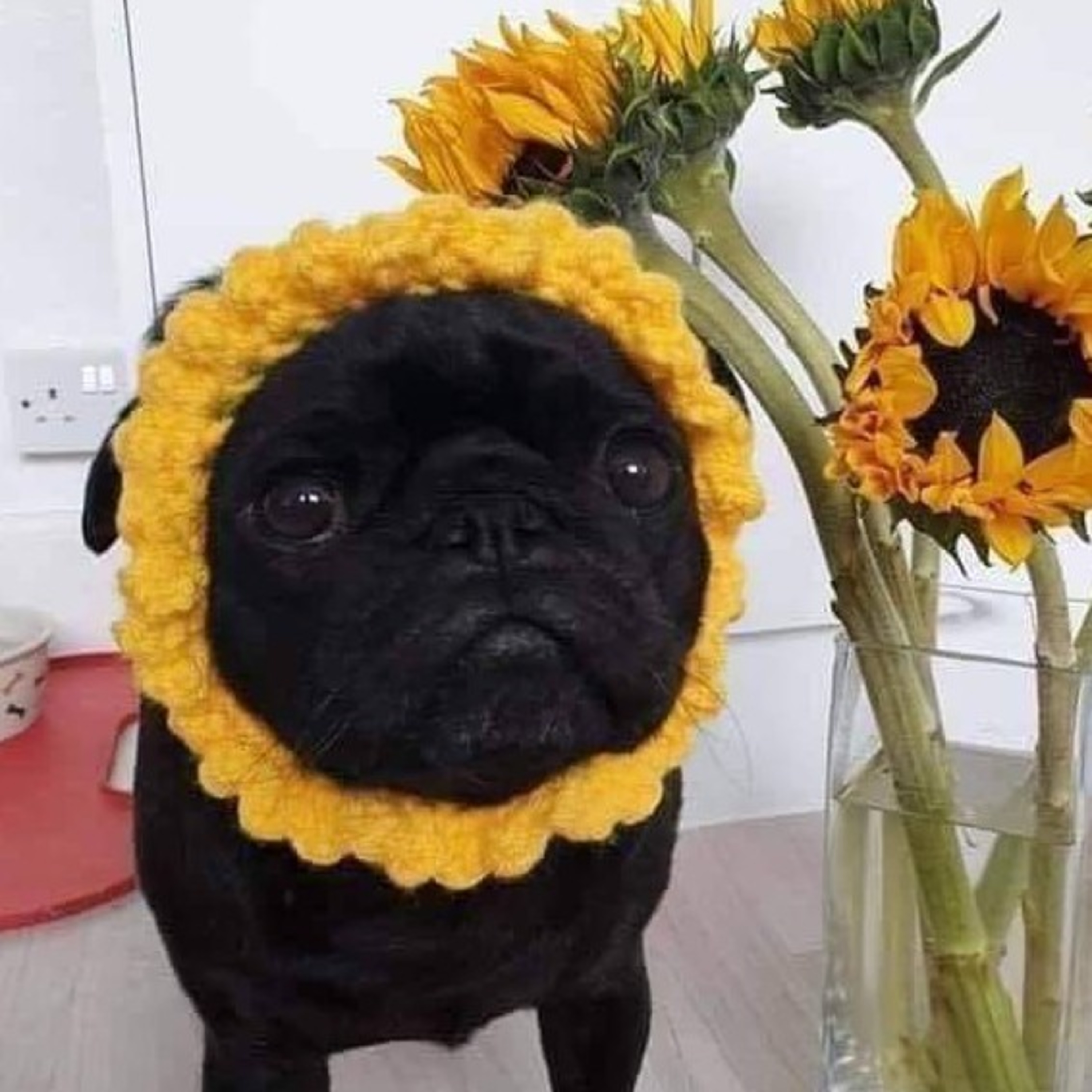 Preguntale al Entrenador