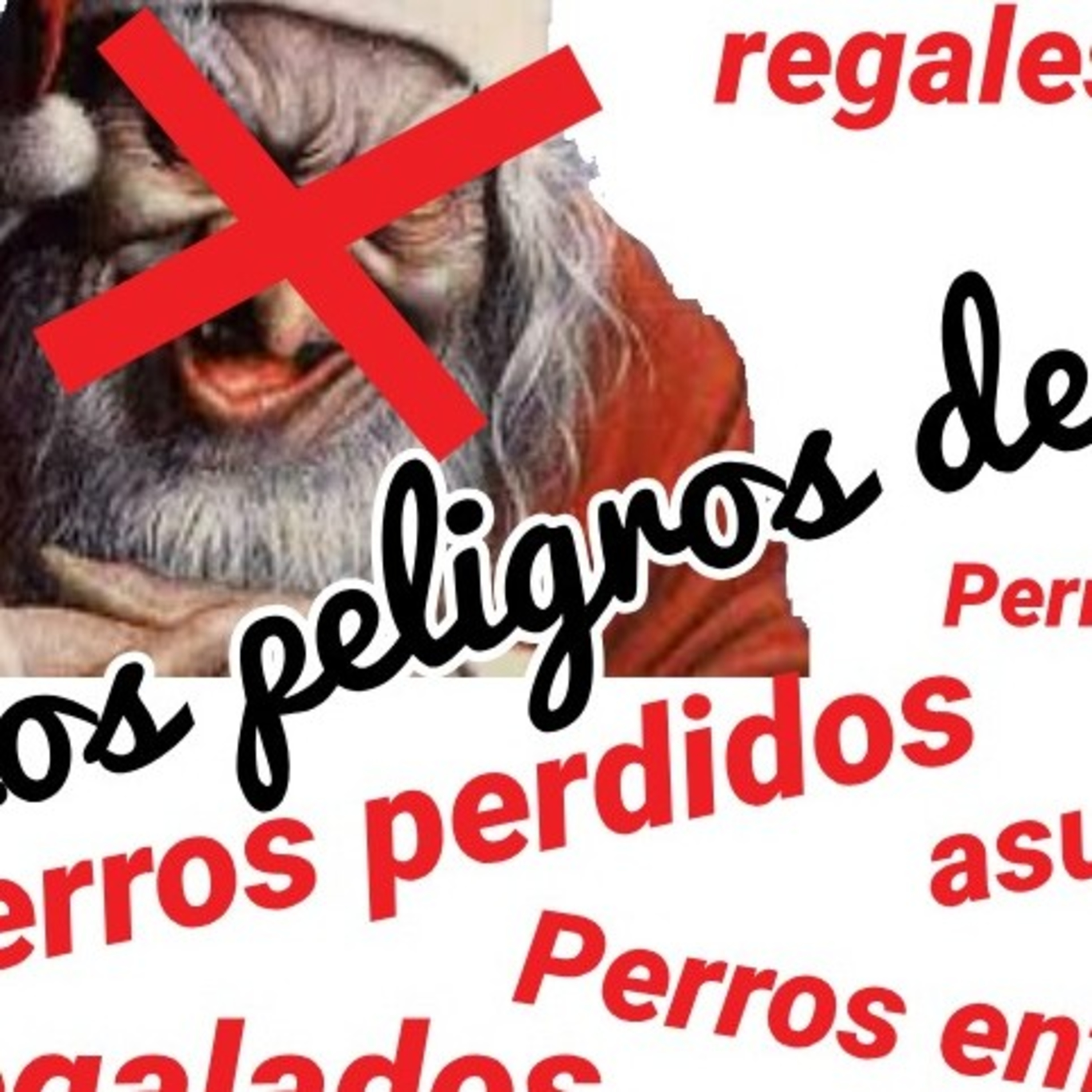 Preguntale al Entrenador