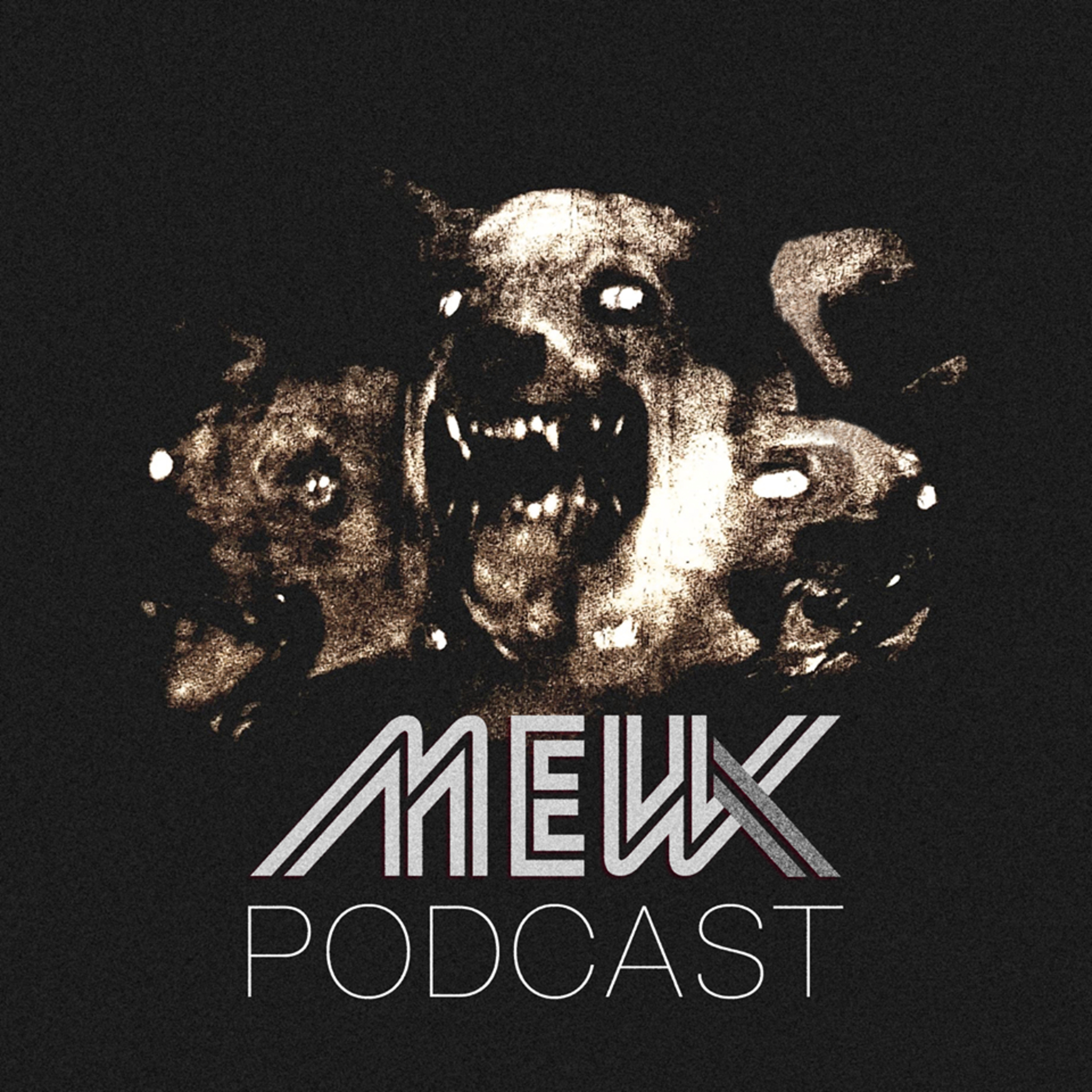 The MewX Podcast