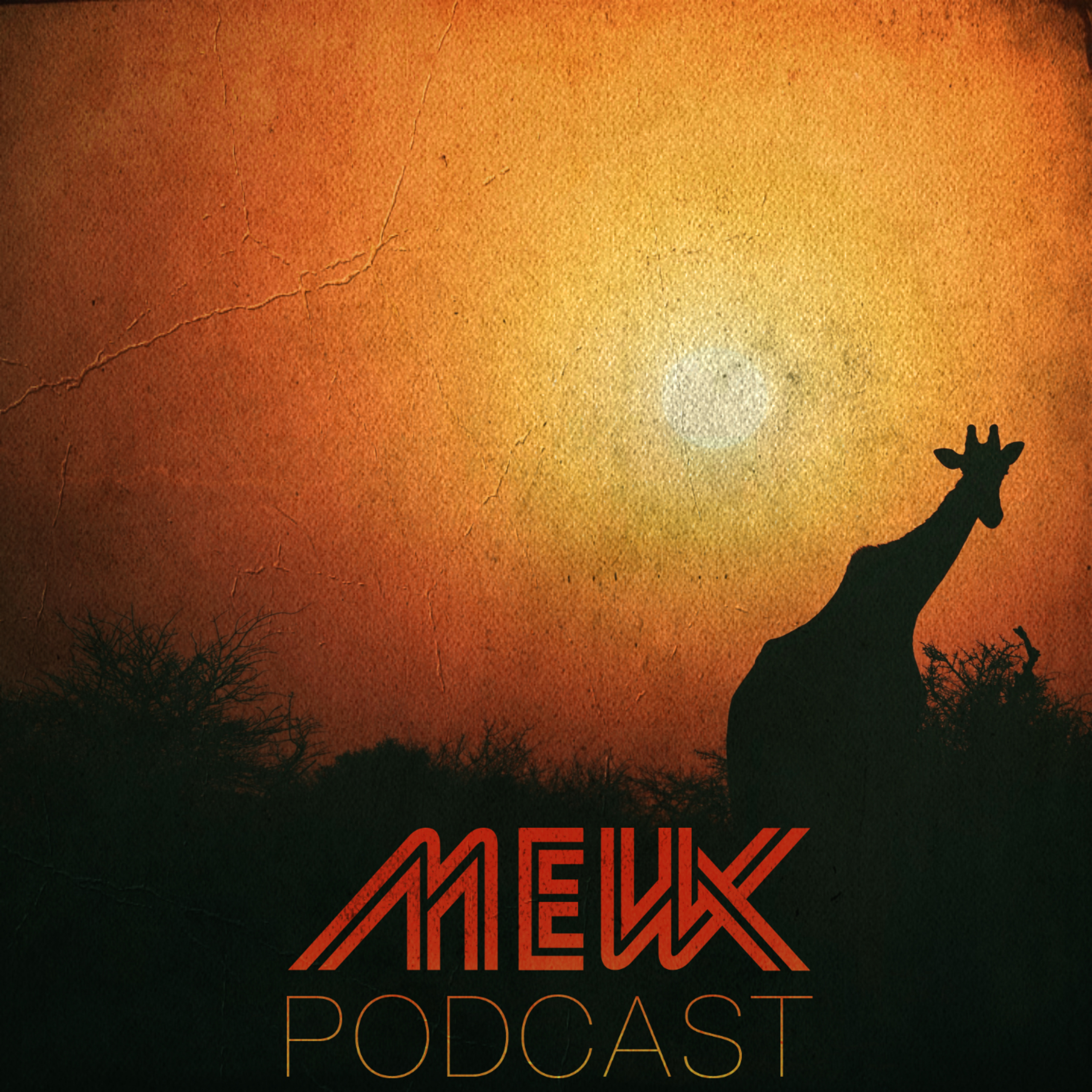 The MewX Podcast