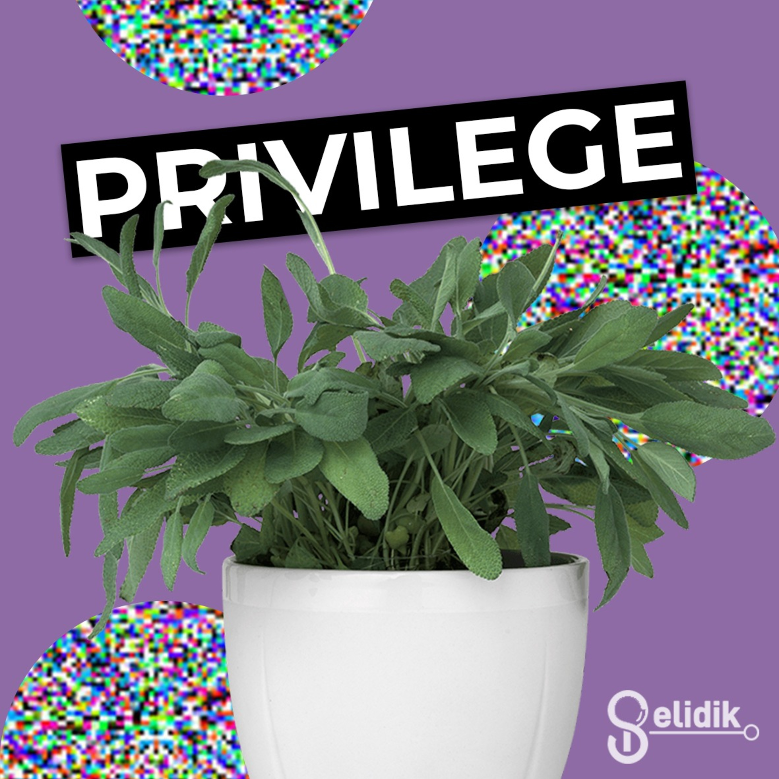 Selidik Podcast
