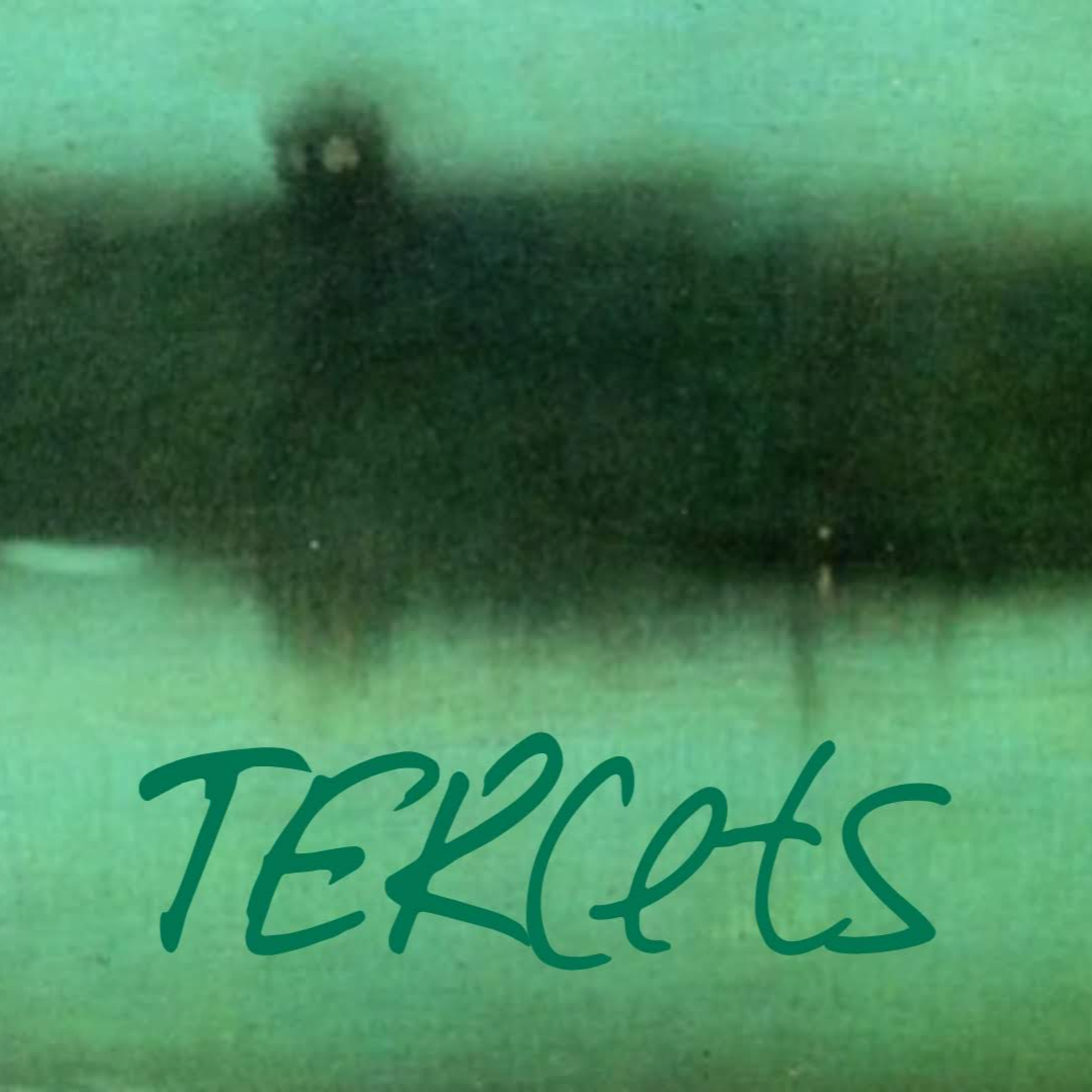 TERcets