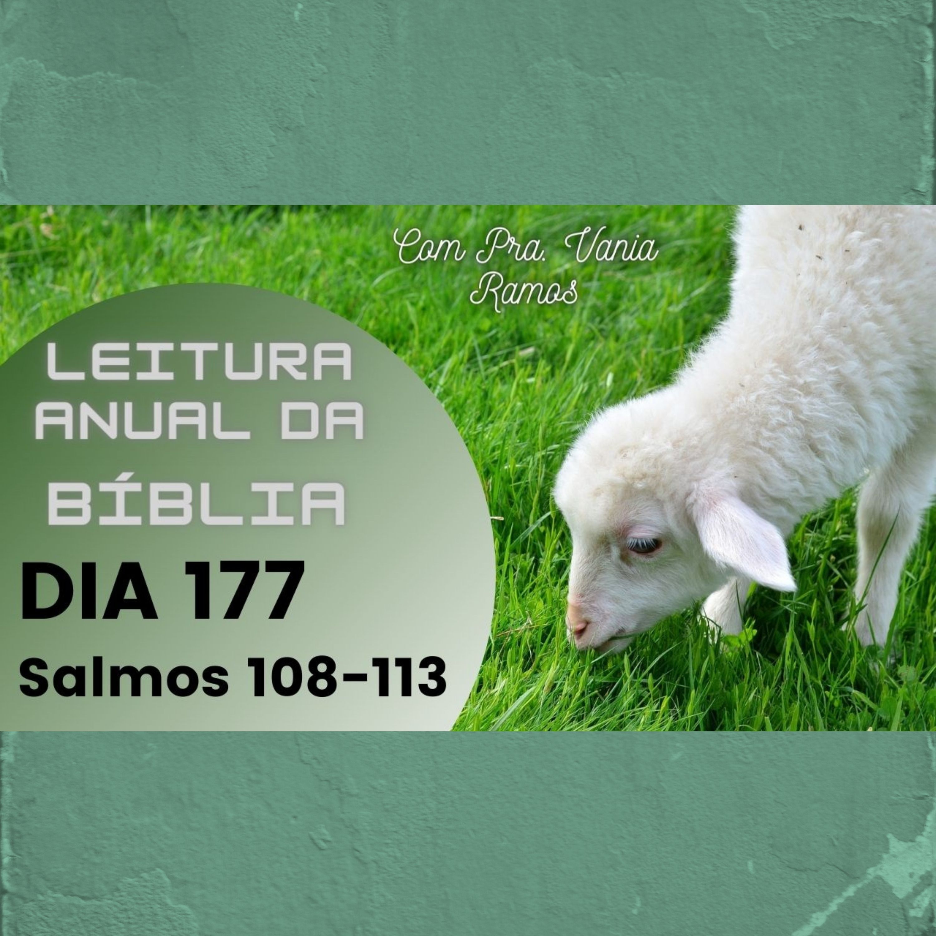 Leitura Anual da Bíblia com a Pastora Vania Ramos