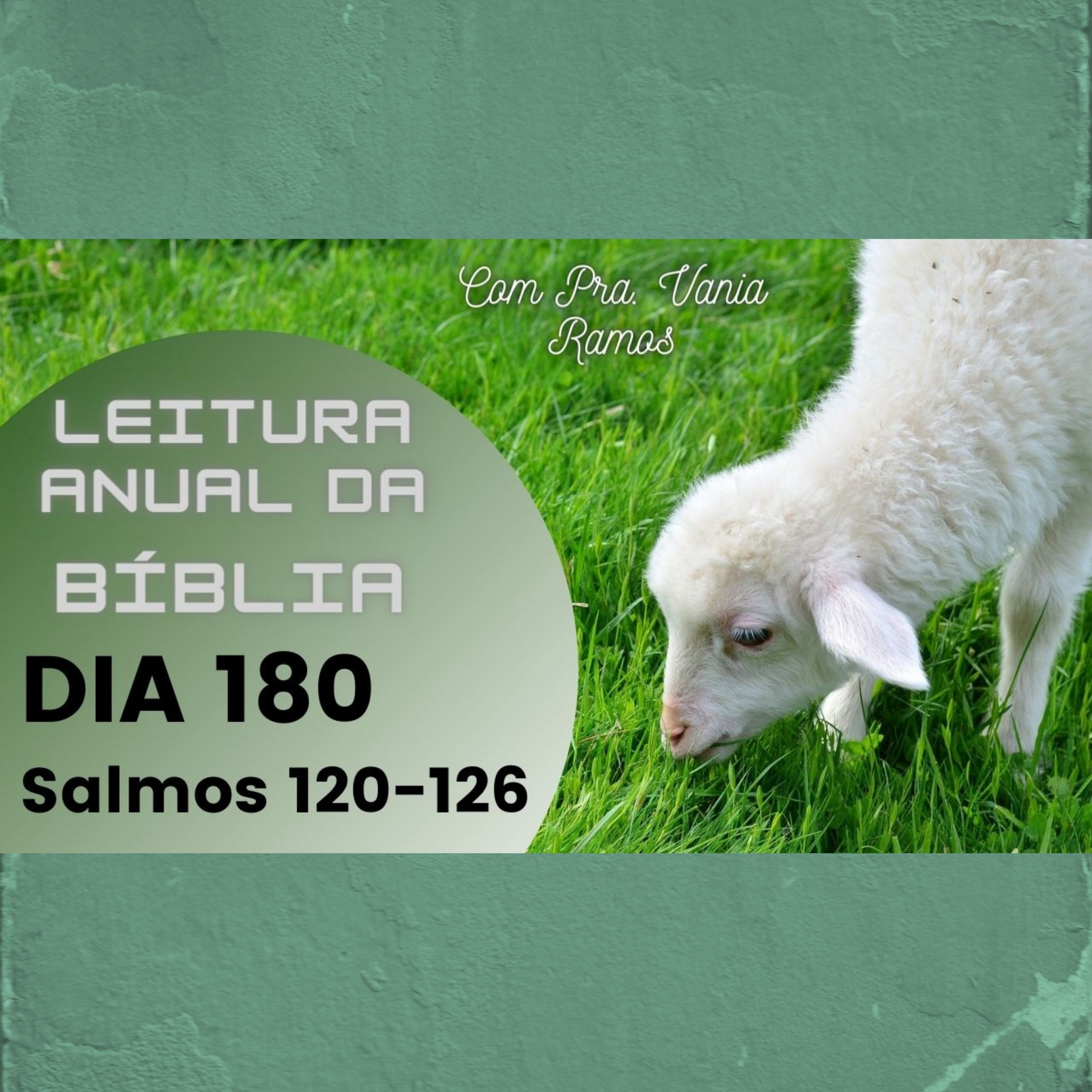Leitura Anual da Bíblia com a Pastora Vania Ramos