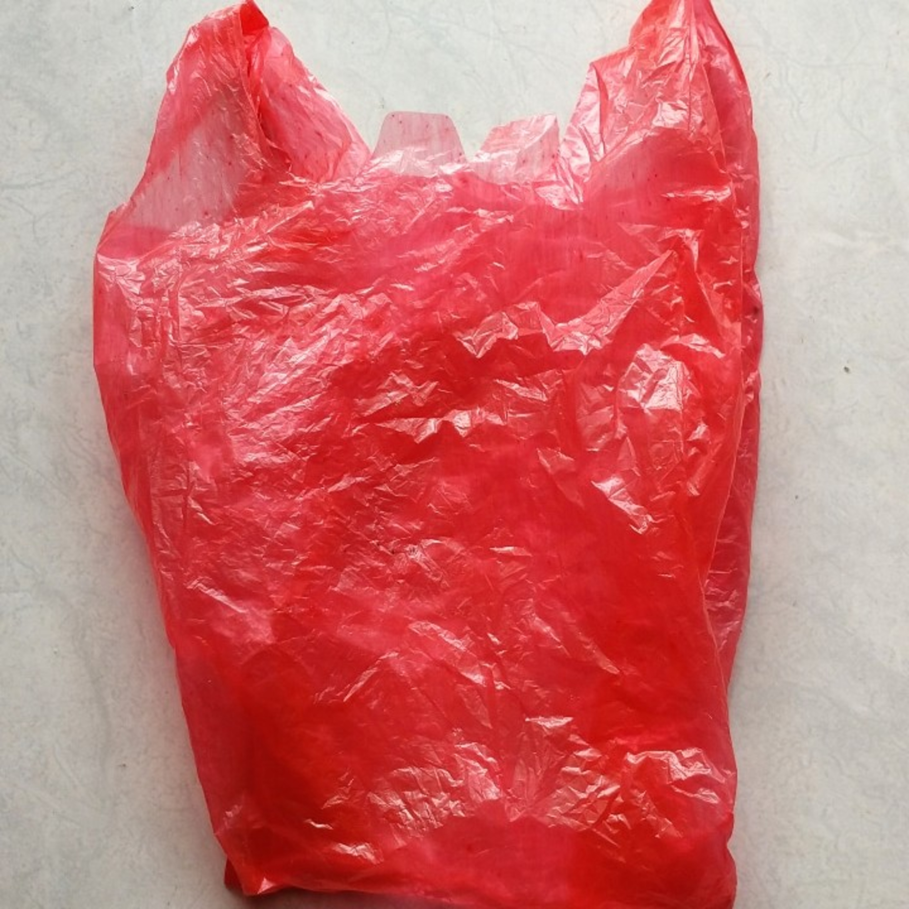 Opini Jati