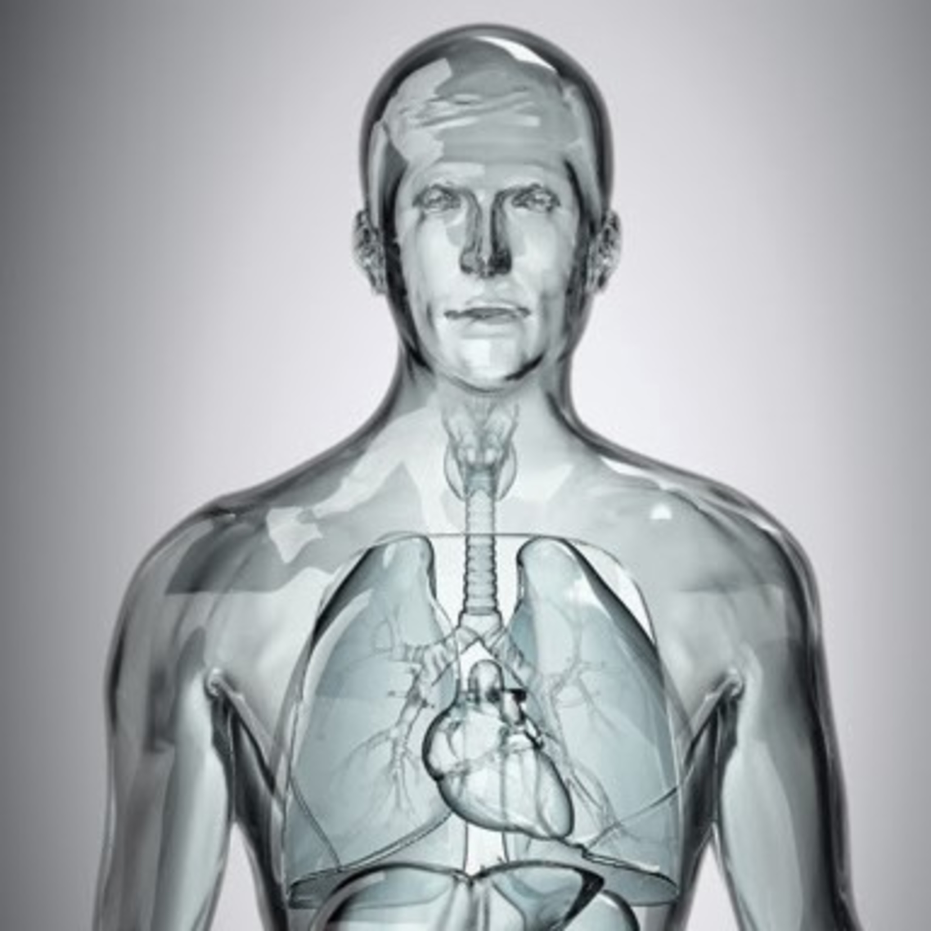 Personas sentiditas (cristalitos) episode artwork