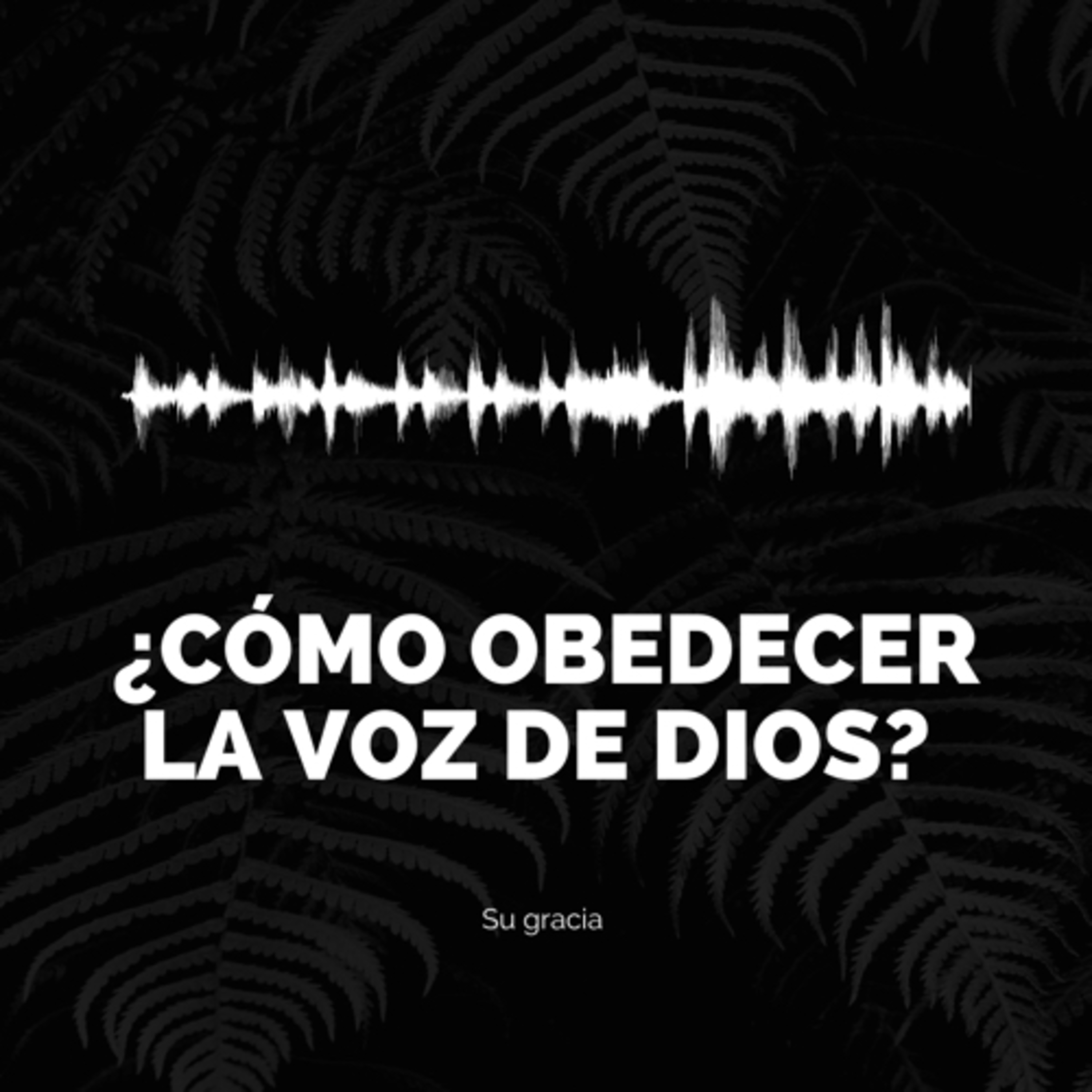 ¿Cómo obedecer la voz de Dios? episode artwork