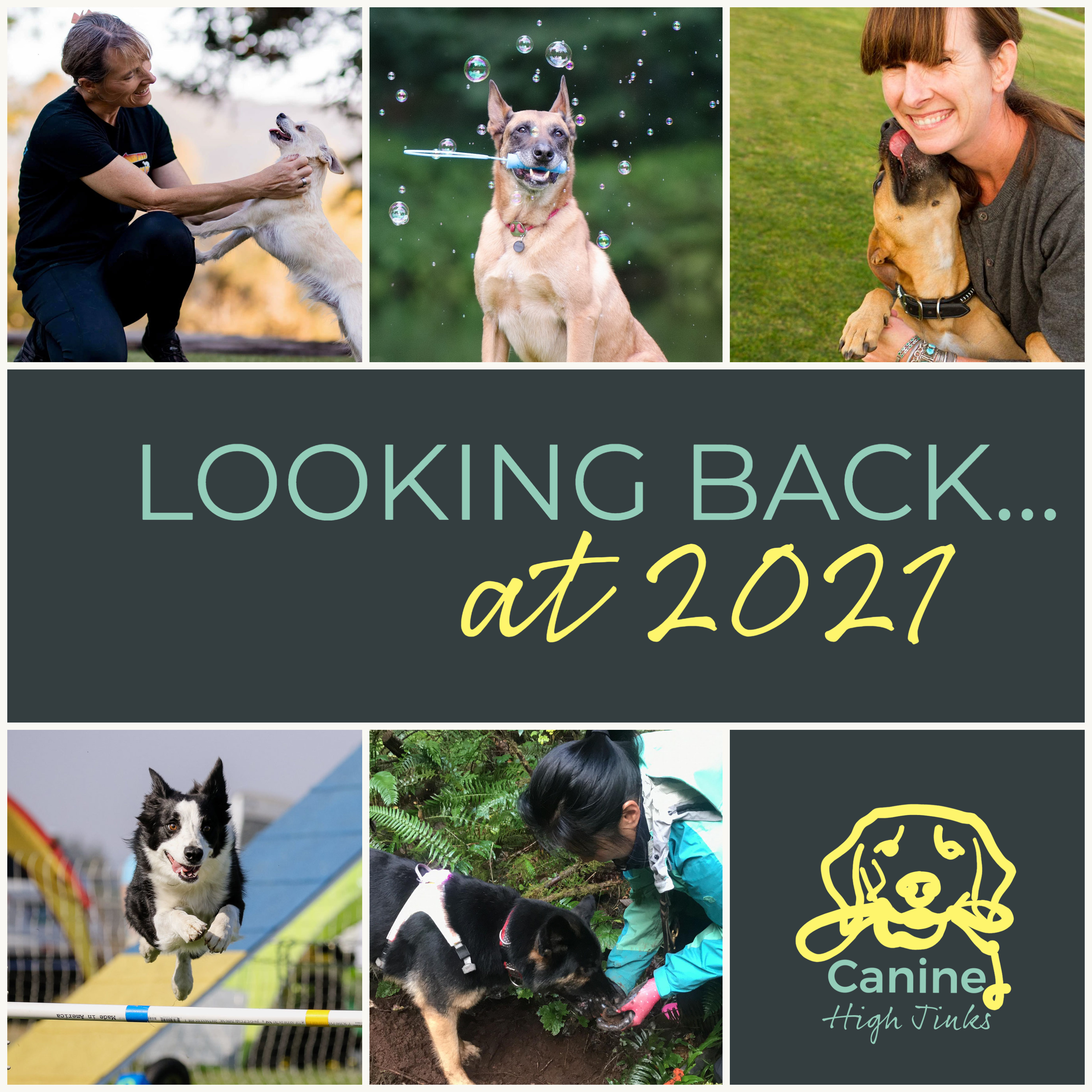 Canine High Jinks