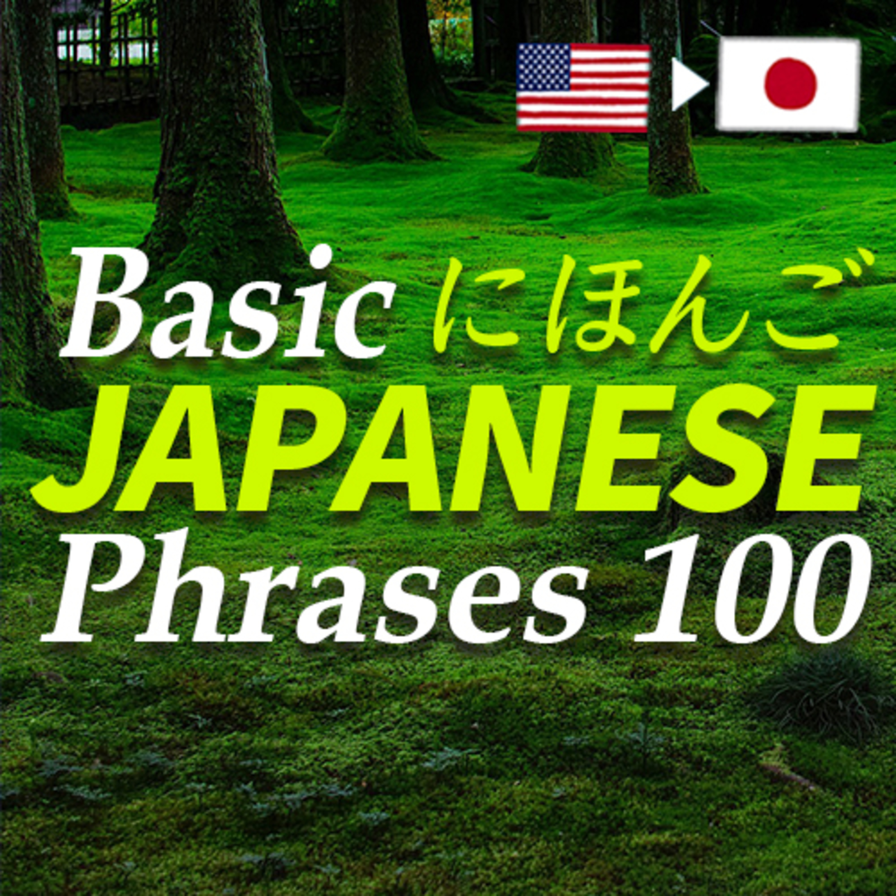 Basic Japanese Phrases 100 にほんご