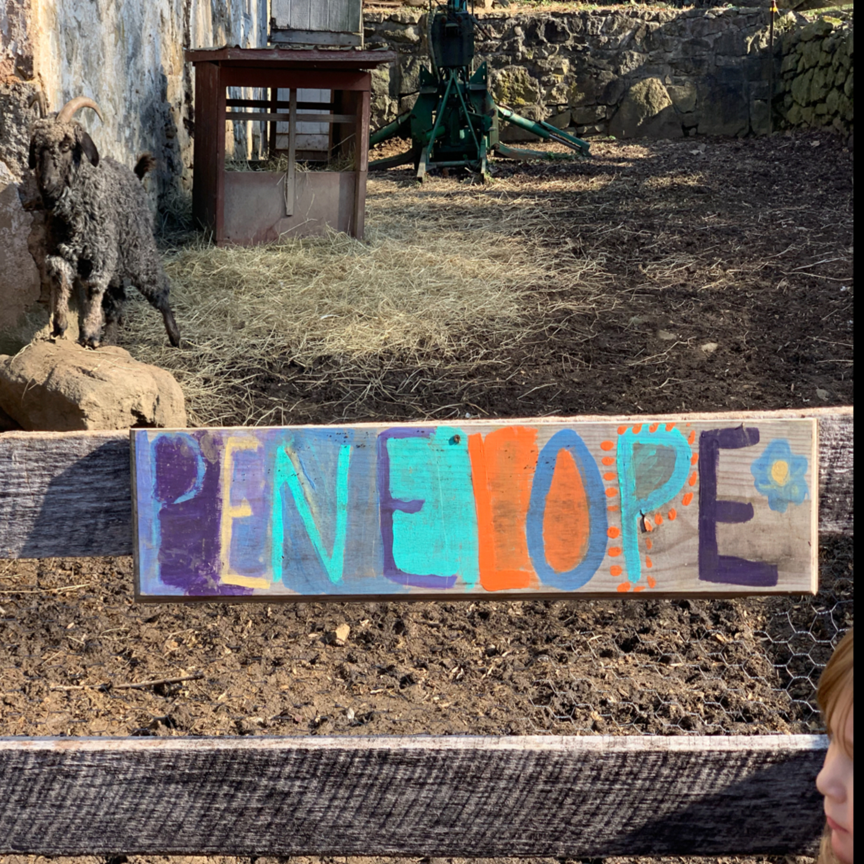 Part 3 of Soltane Association Land Summit 1.3.19