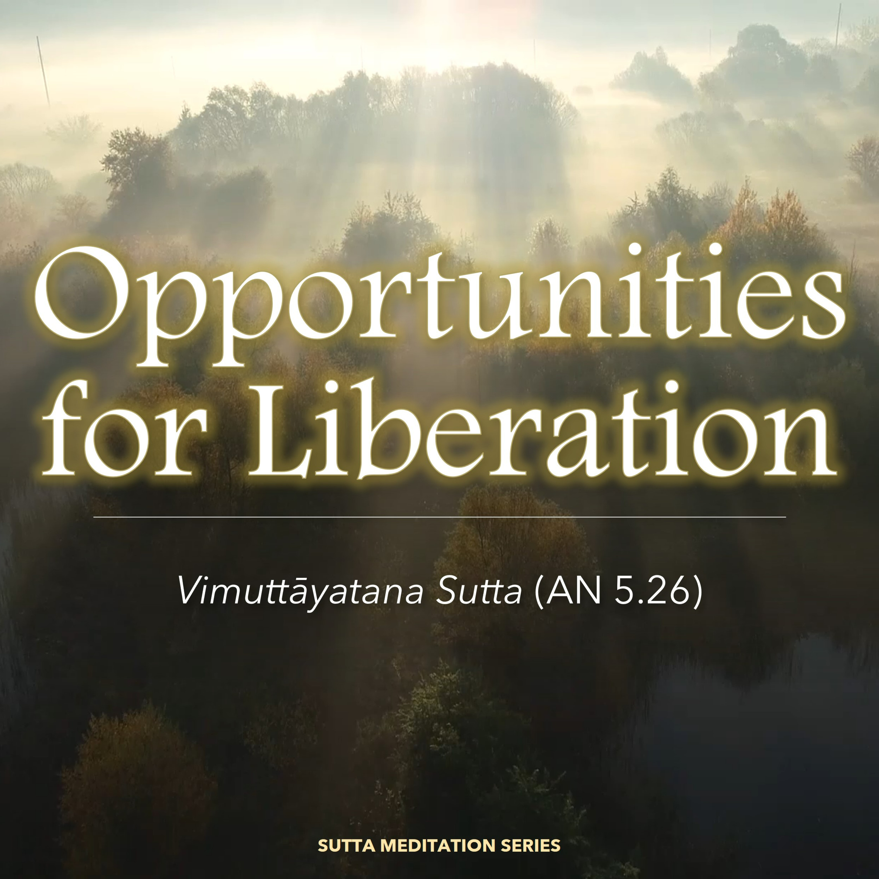 OPPORTUNITIES FOR LIBERATION episode artwork