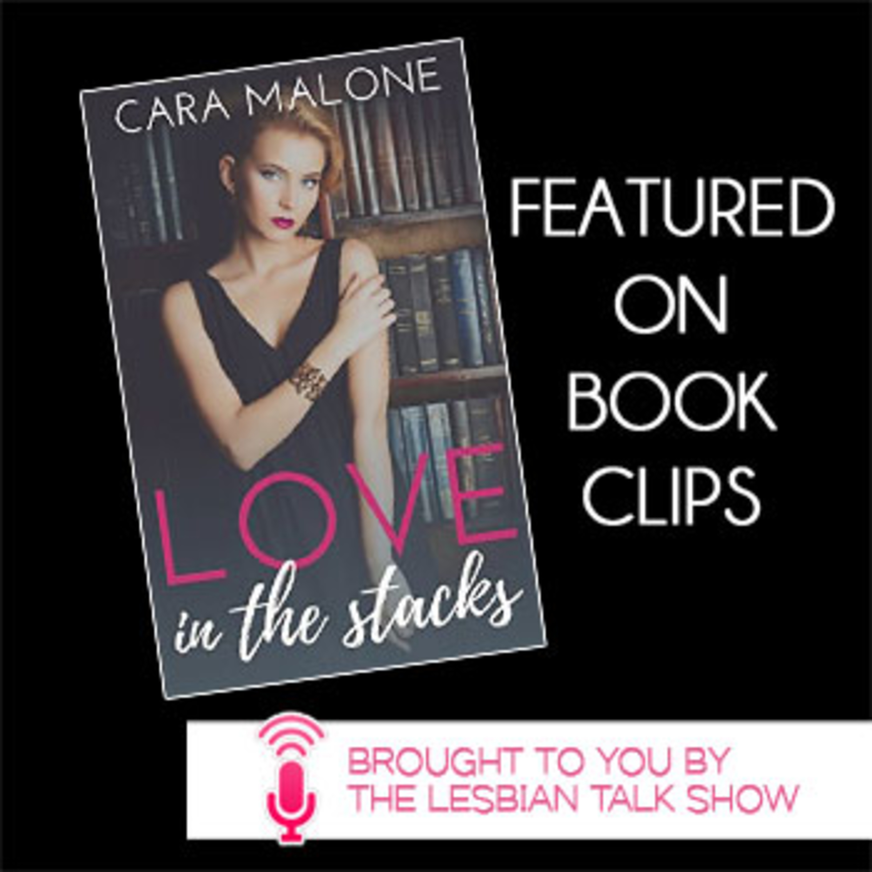 TLT (The Lesbian Talkshow)