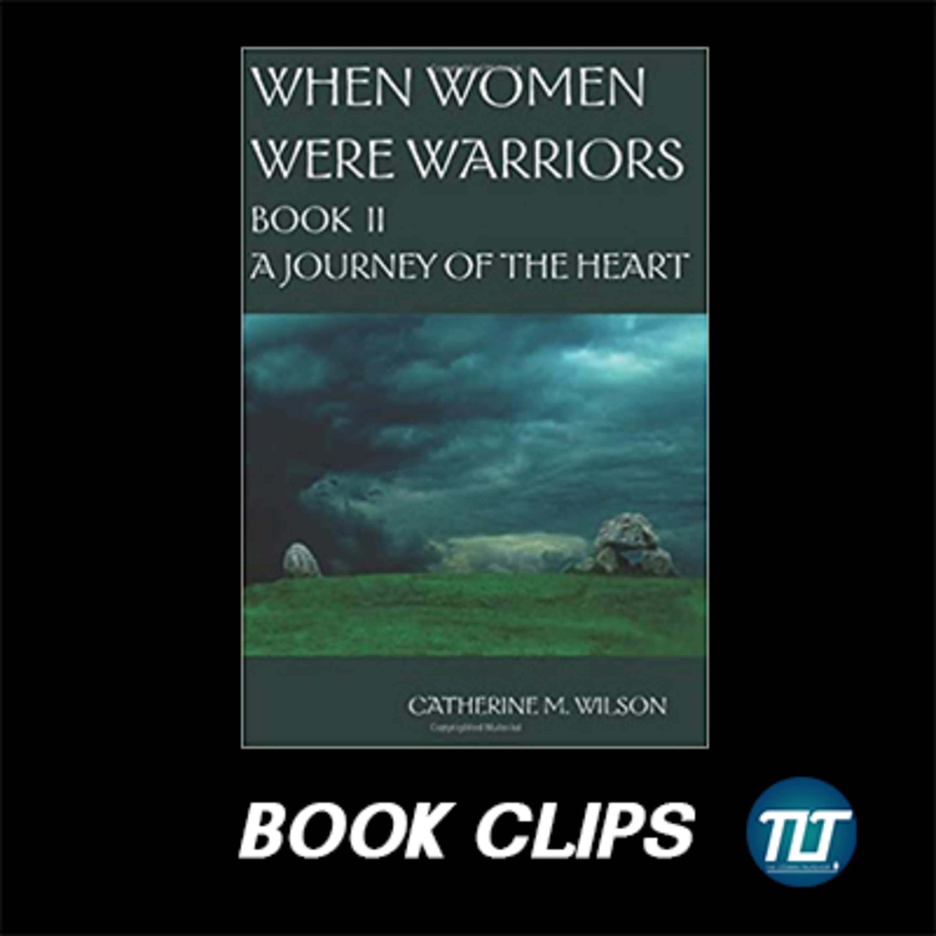 Book Clips: When Women Were Warriors book 2 by Catherine M Wilson episode artwork