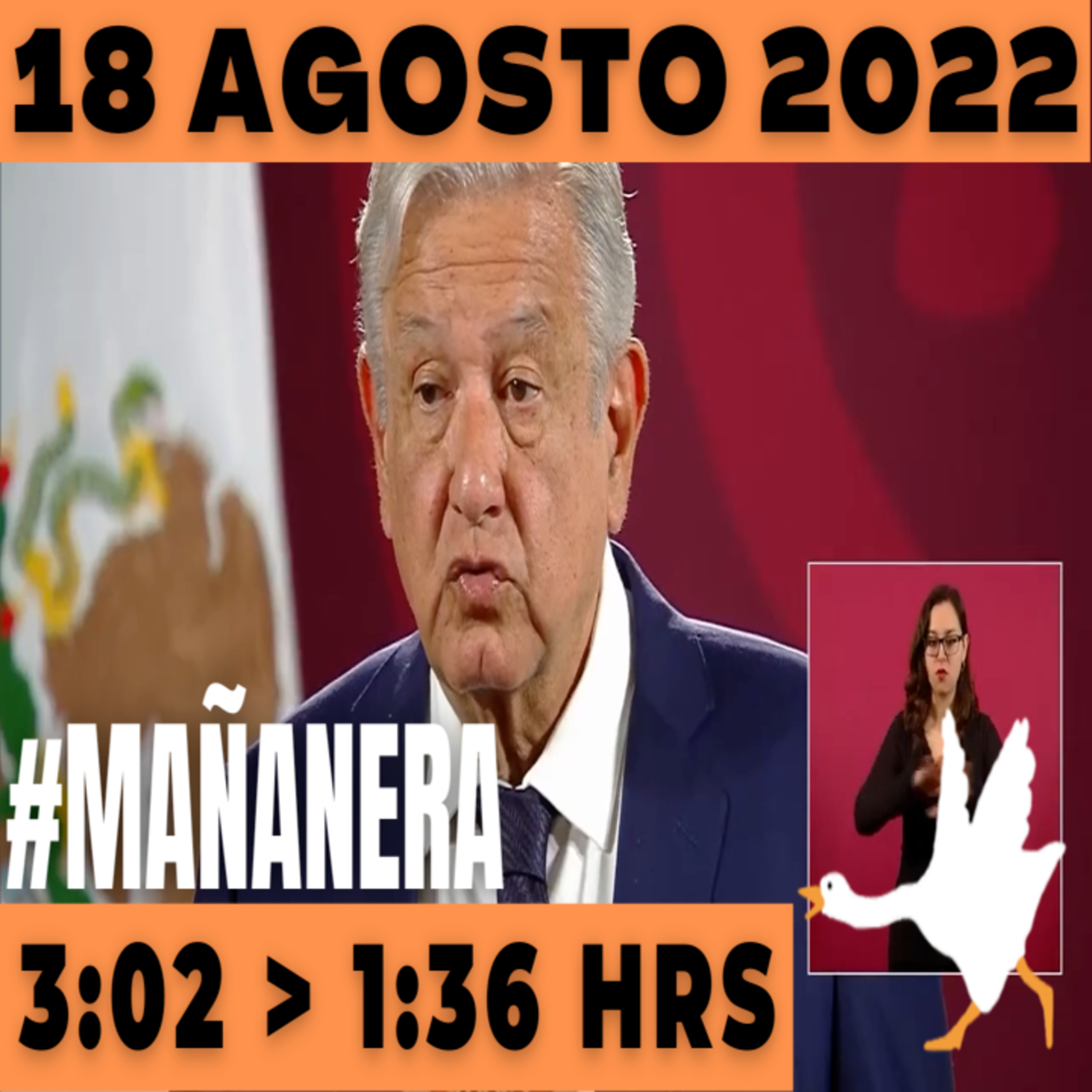 💩🐣  La mañanera en minutos | Mañanera Jueves 18 de Agosto 2022 | El ganso veloz | De 3:02 a 1:36. episode artwork