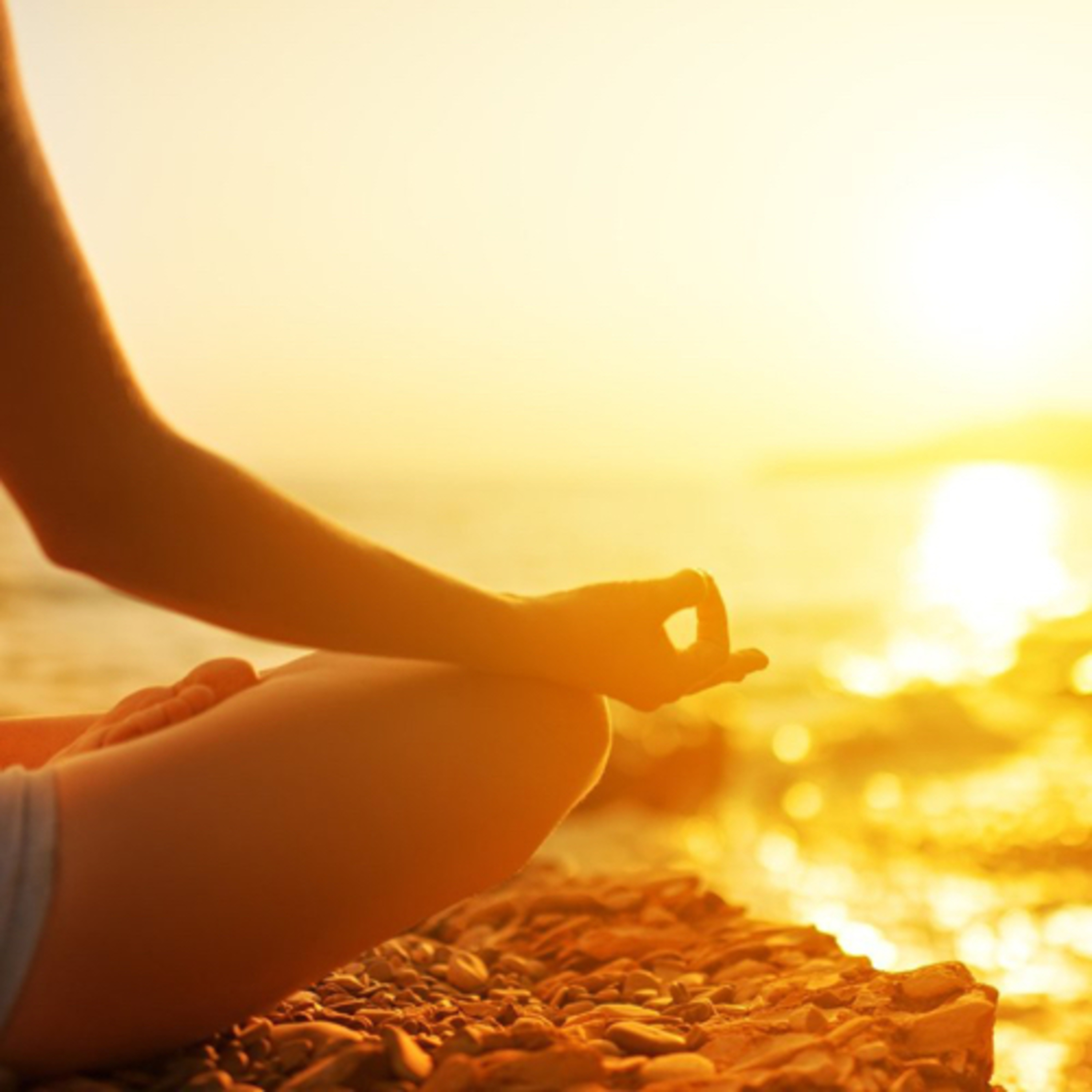 The Healthy Living Blueprint: Navigating Weight Loss, Meditation, and Mindset.