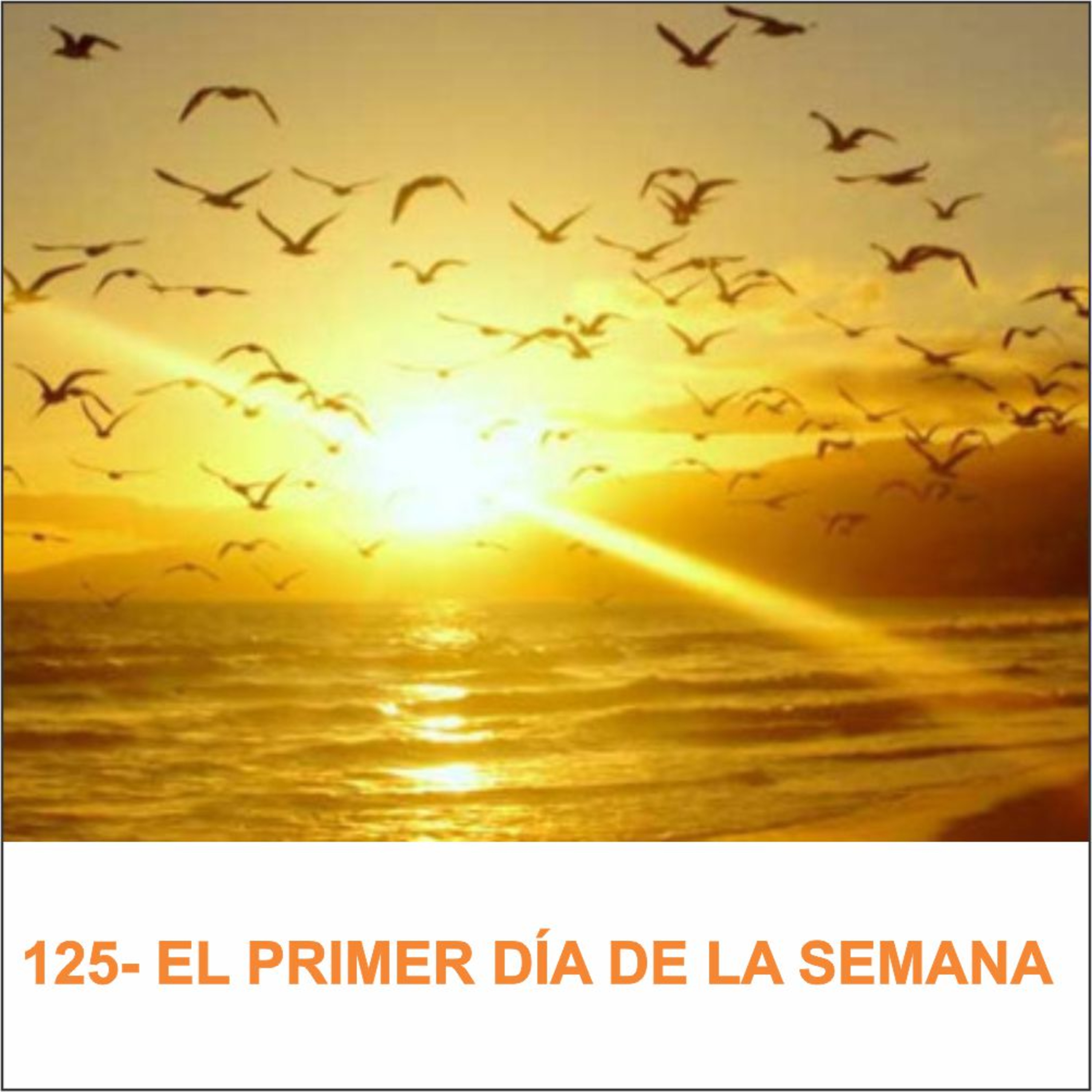 Un tal Jesús