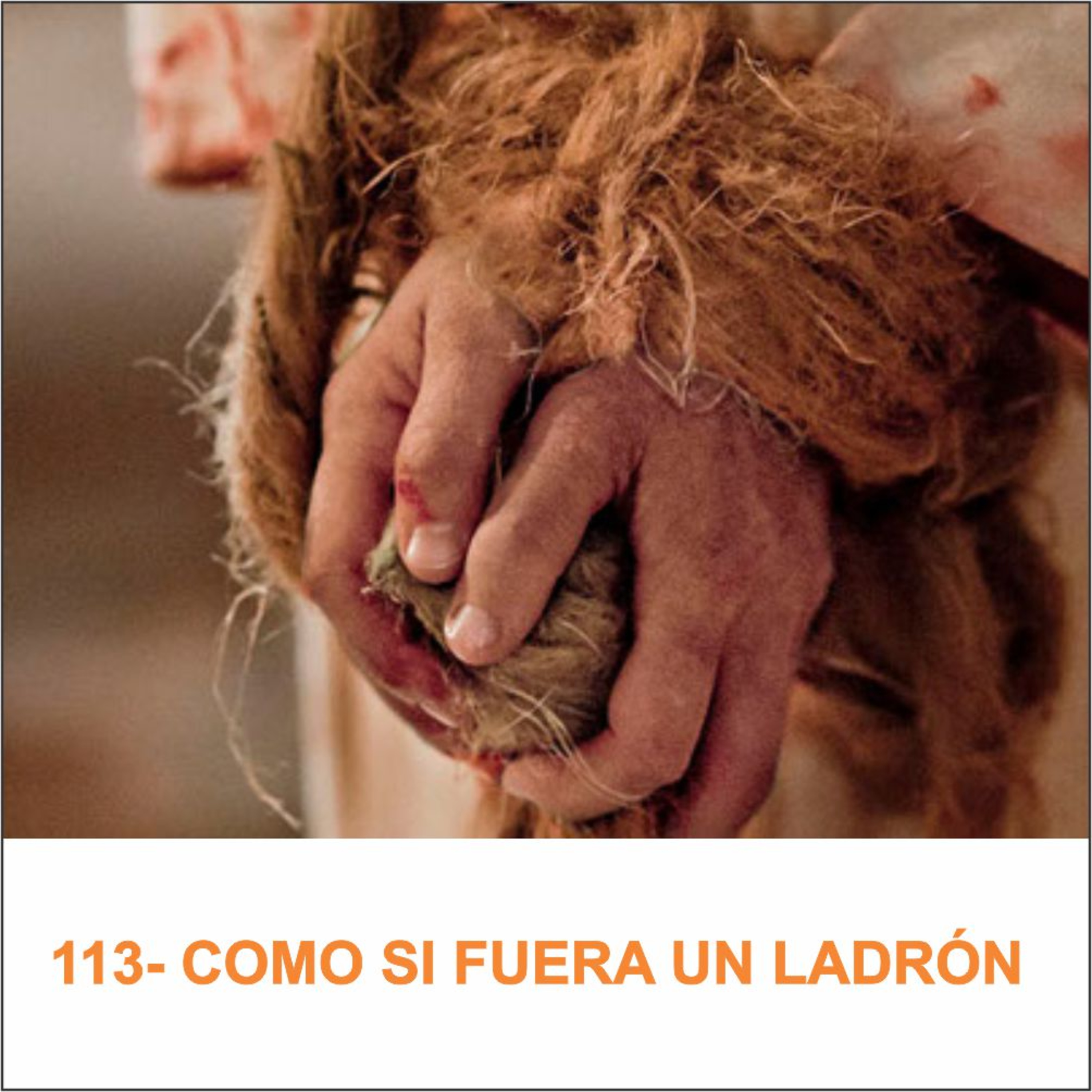 Un tal Jesús