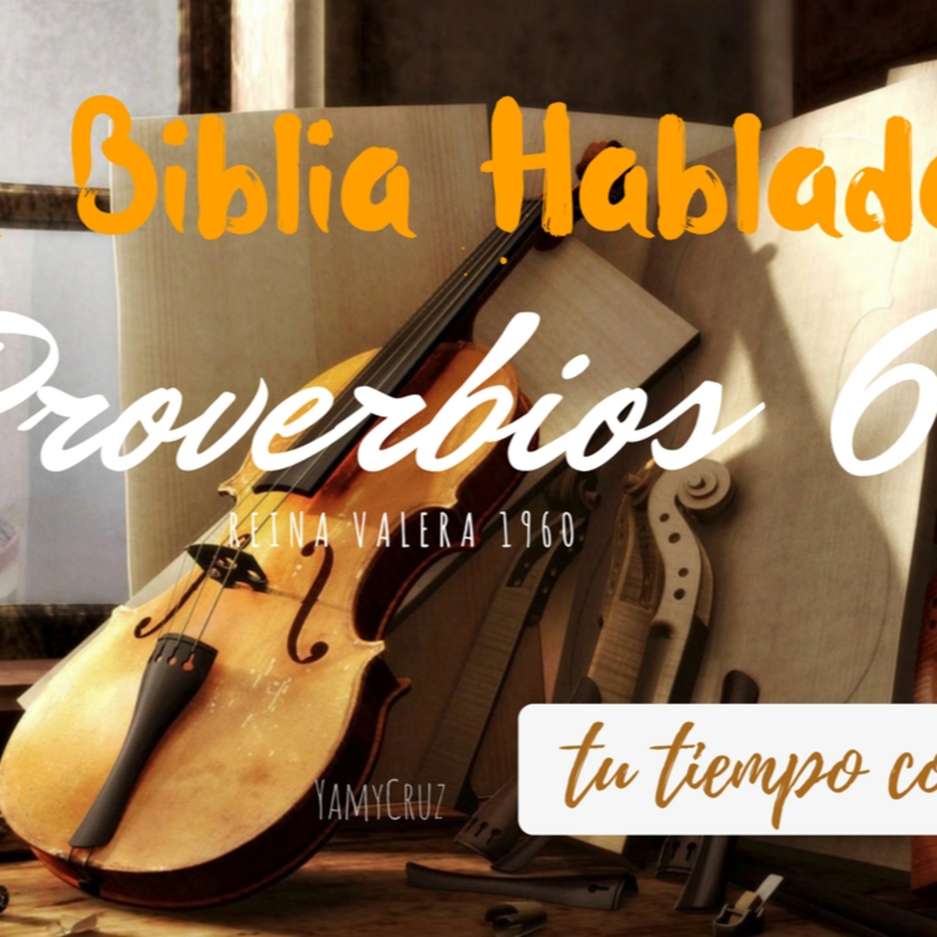 Bienvenidos!!