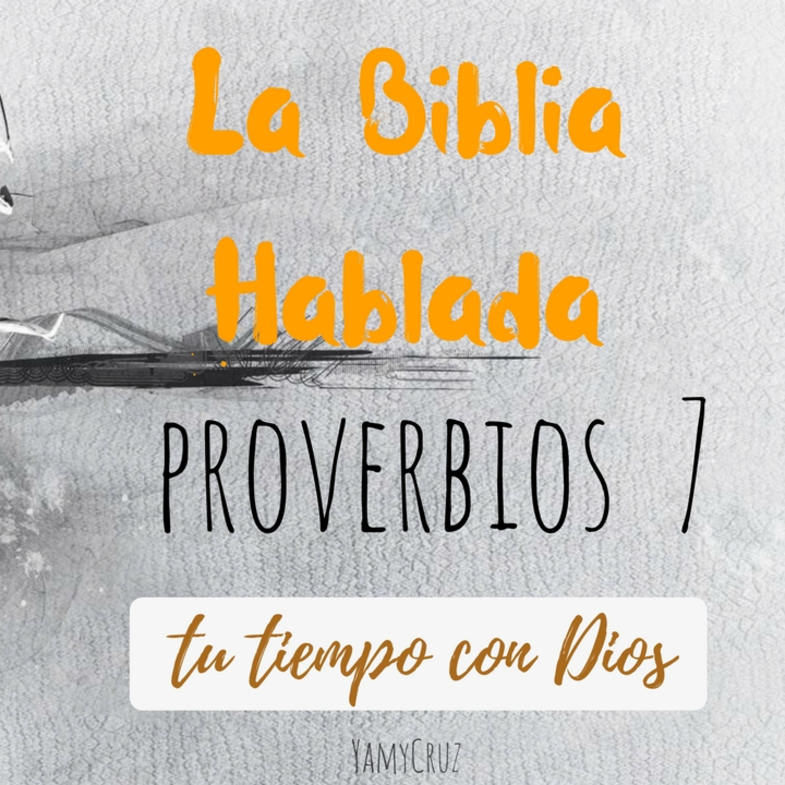 Bienvenidos!!