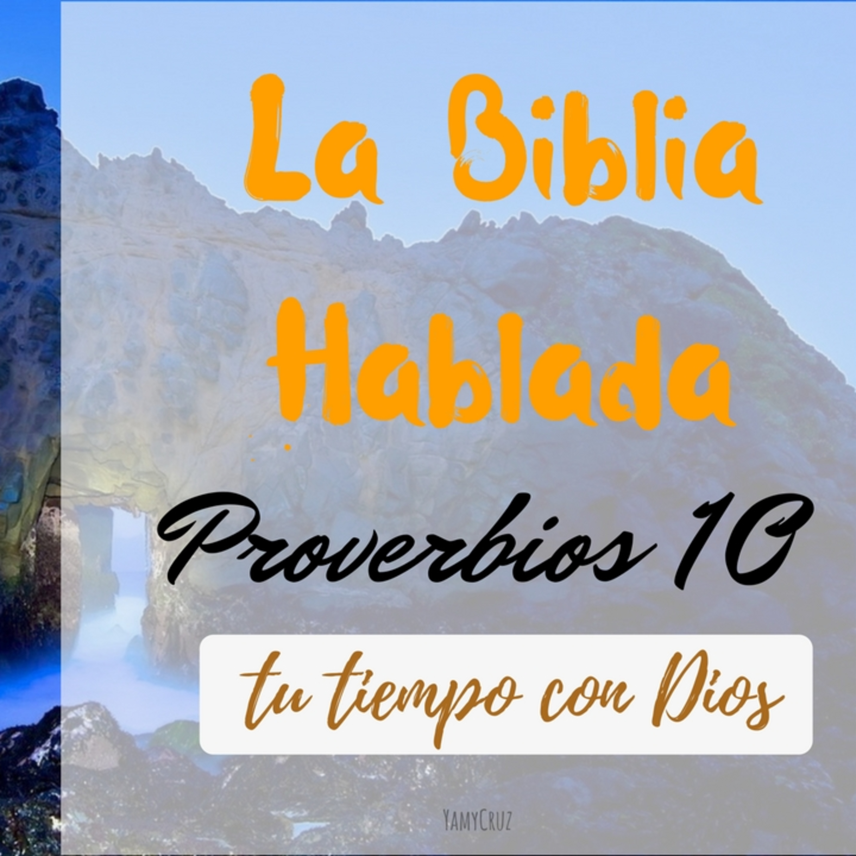 Bienvenidos!!
