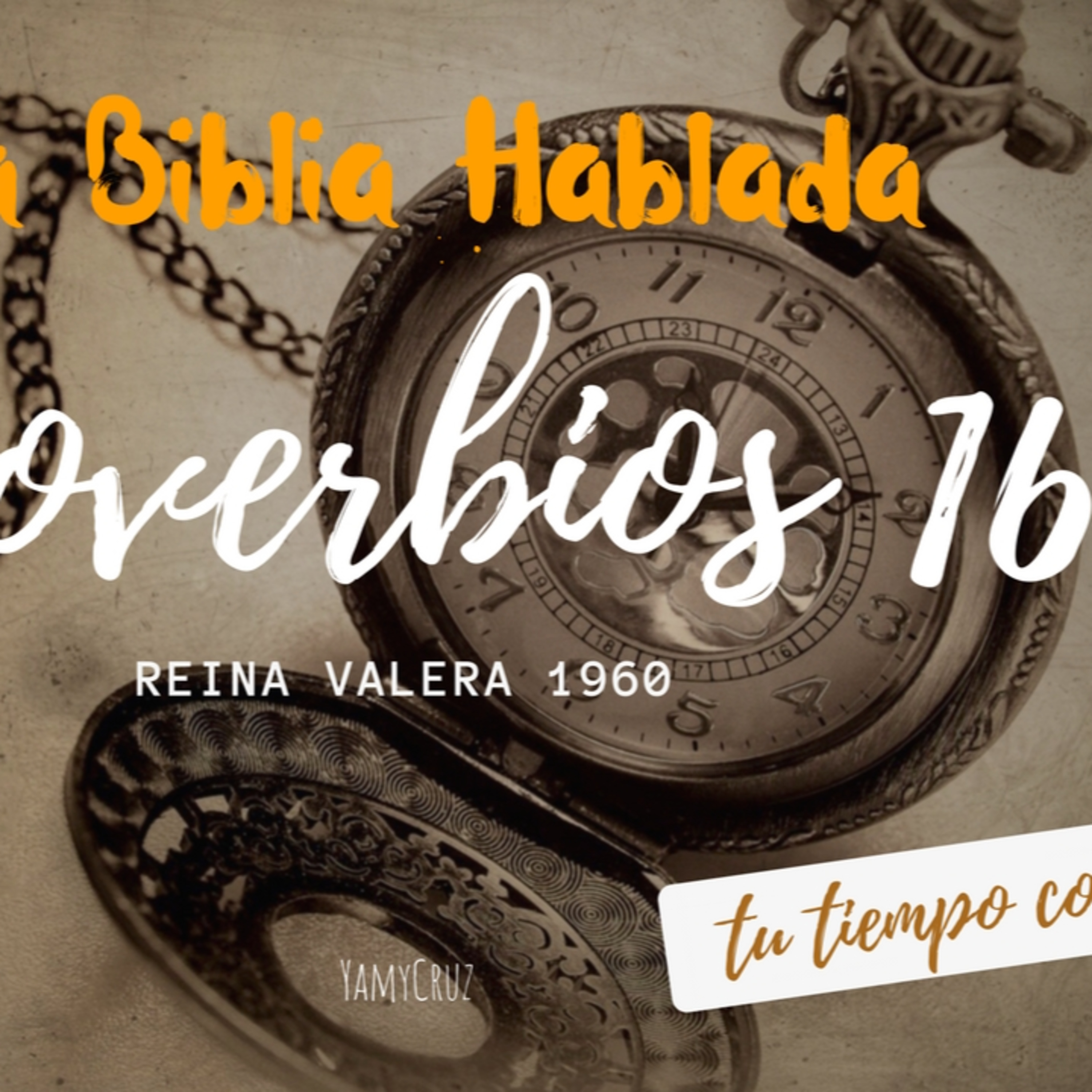 Bienvenidos!!