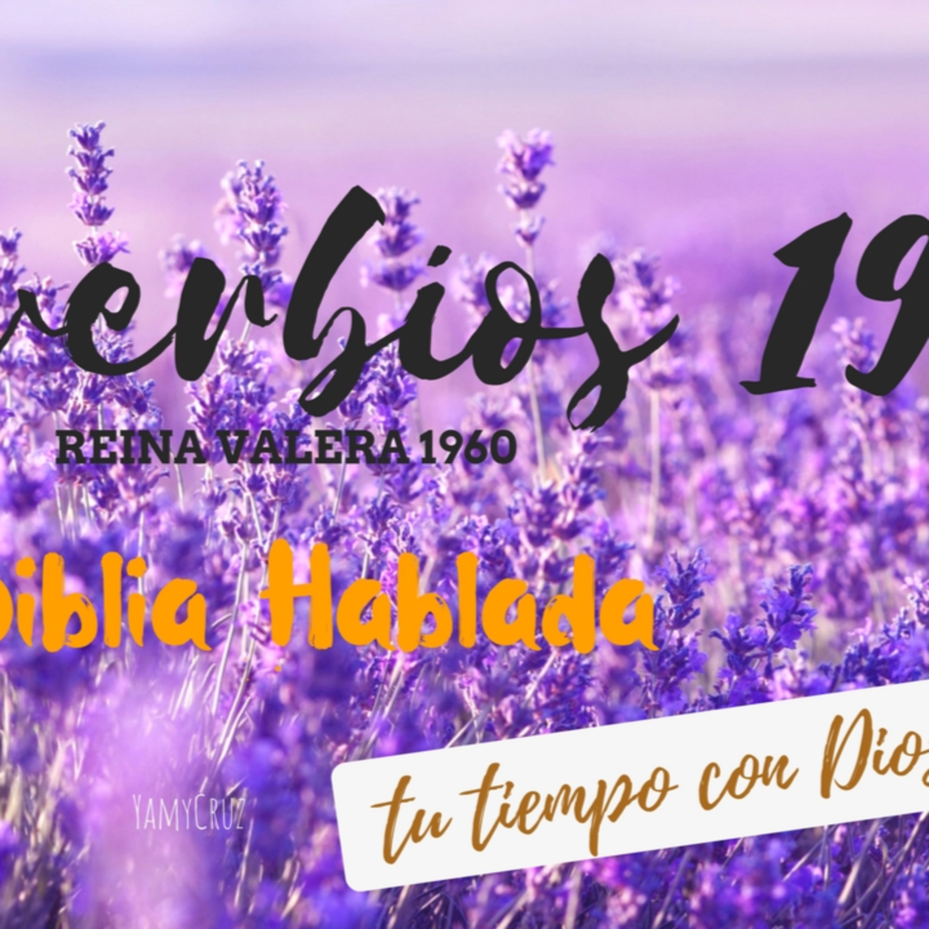Bienvenidos!!