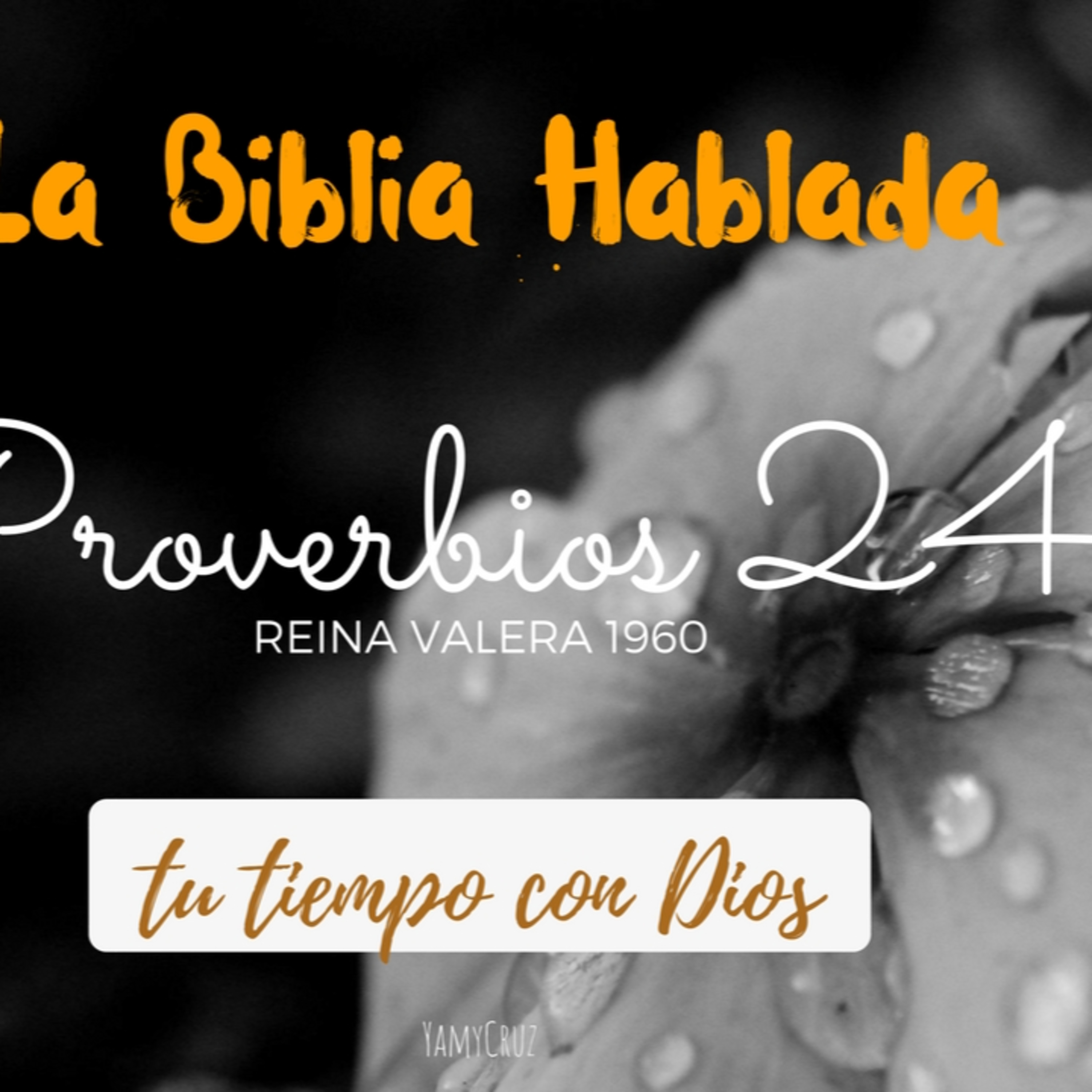 Bienvenidos!!