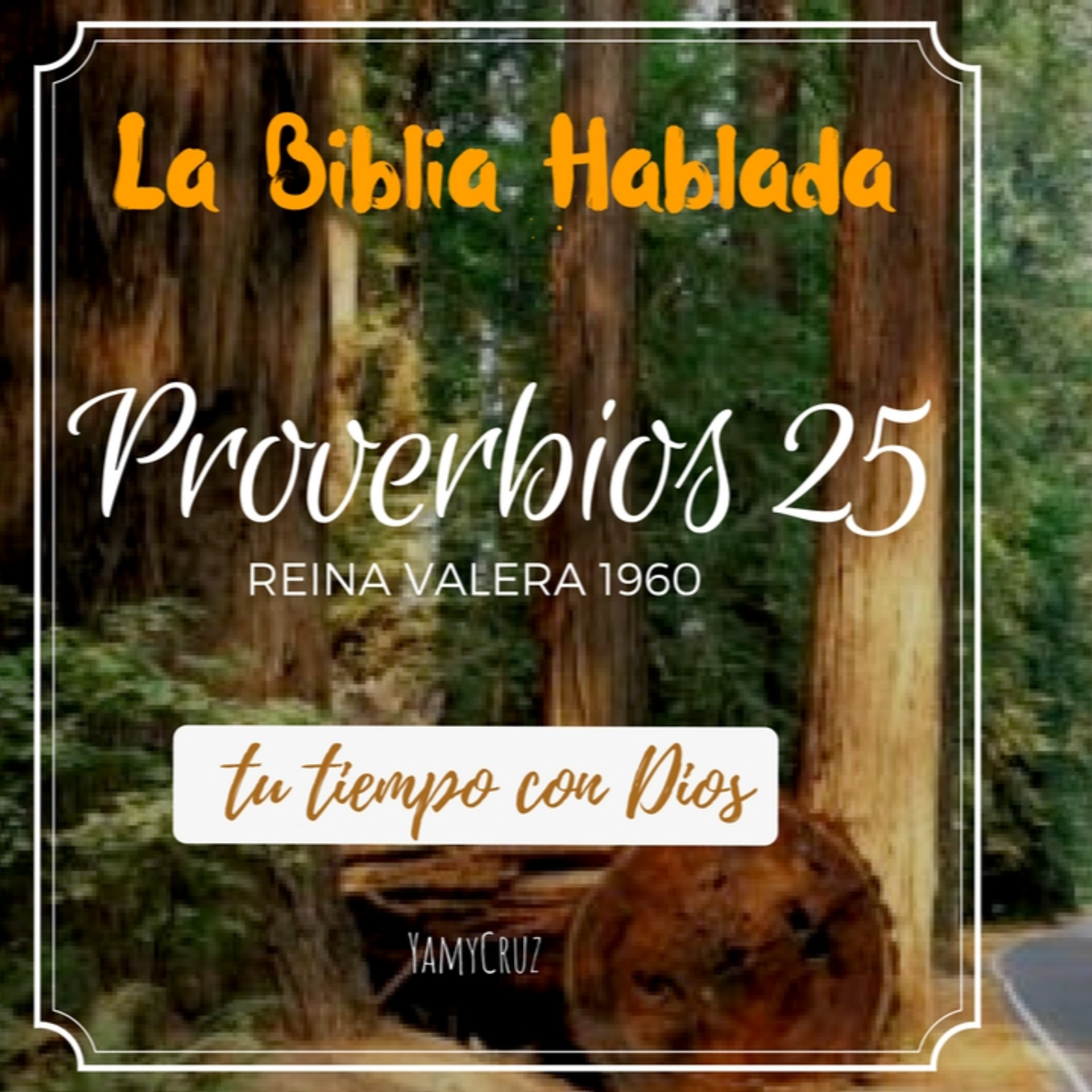 Bienvenidos!!