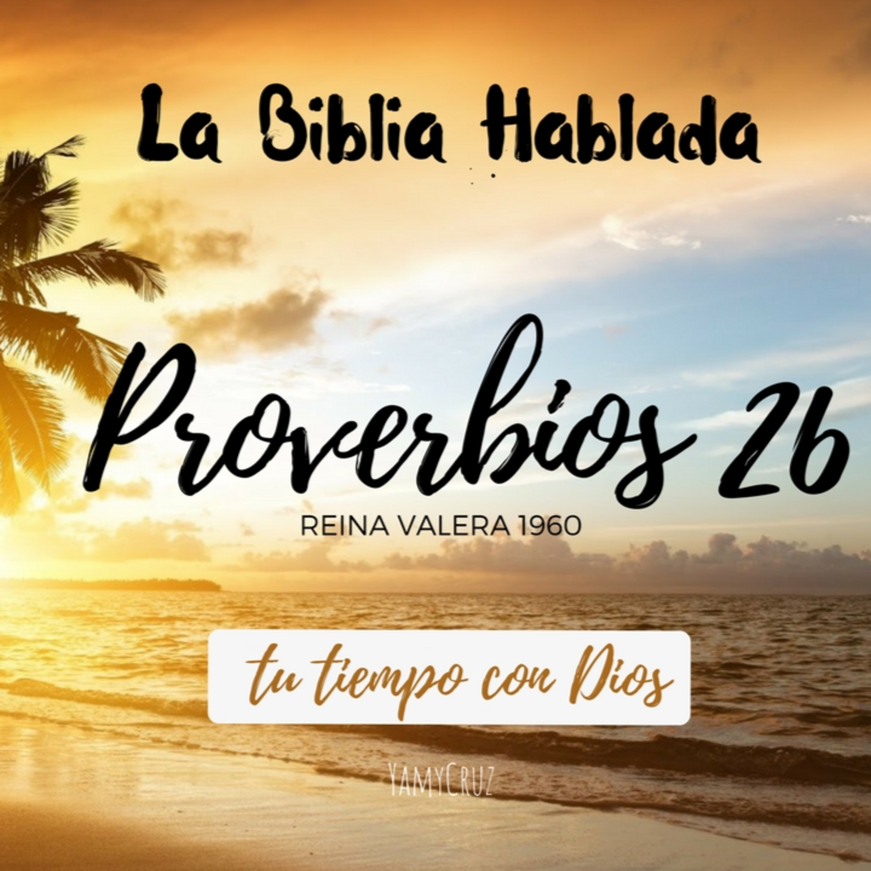 Bienvenidos!!