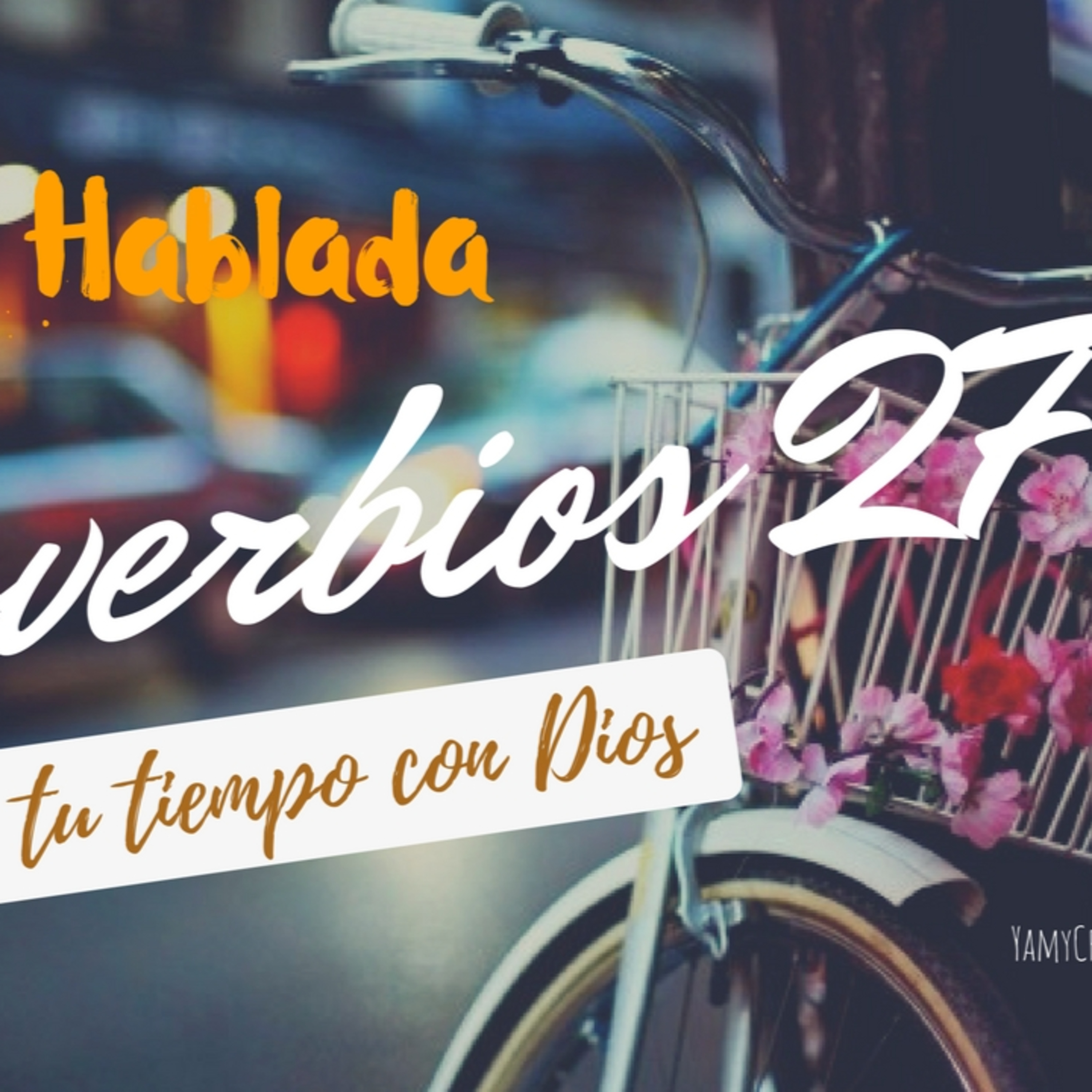 Bienvenidos!!