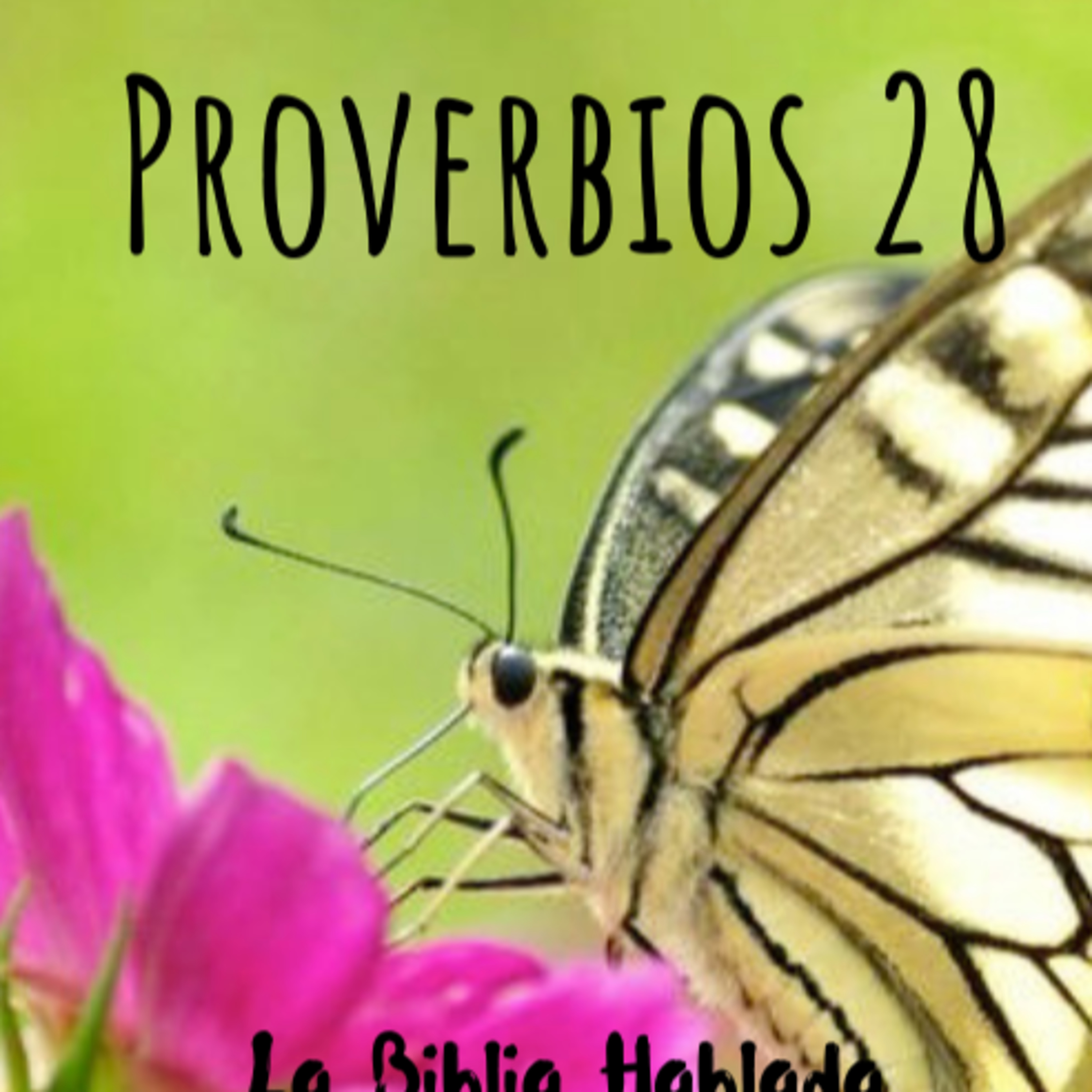 Bienvenidos!!