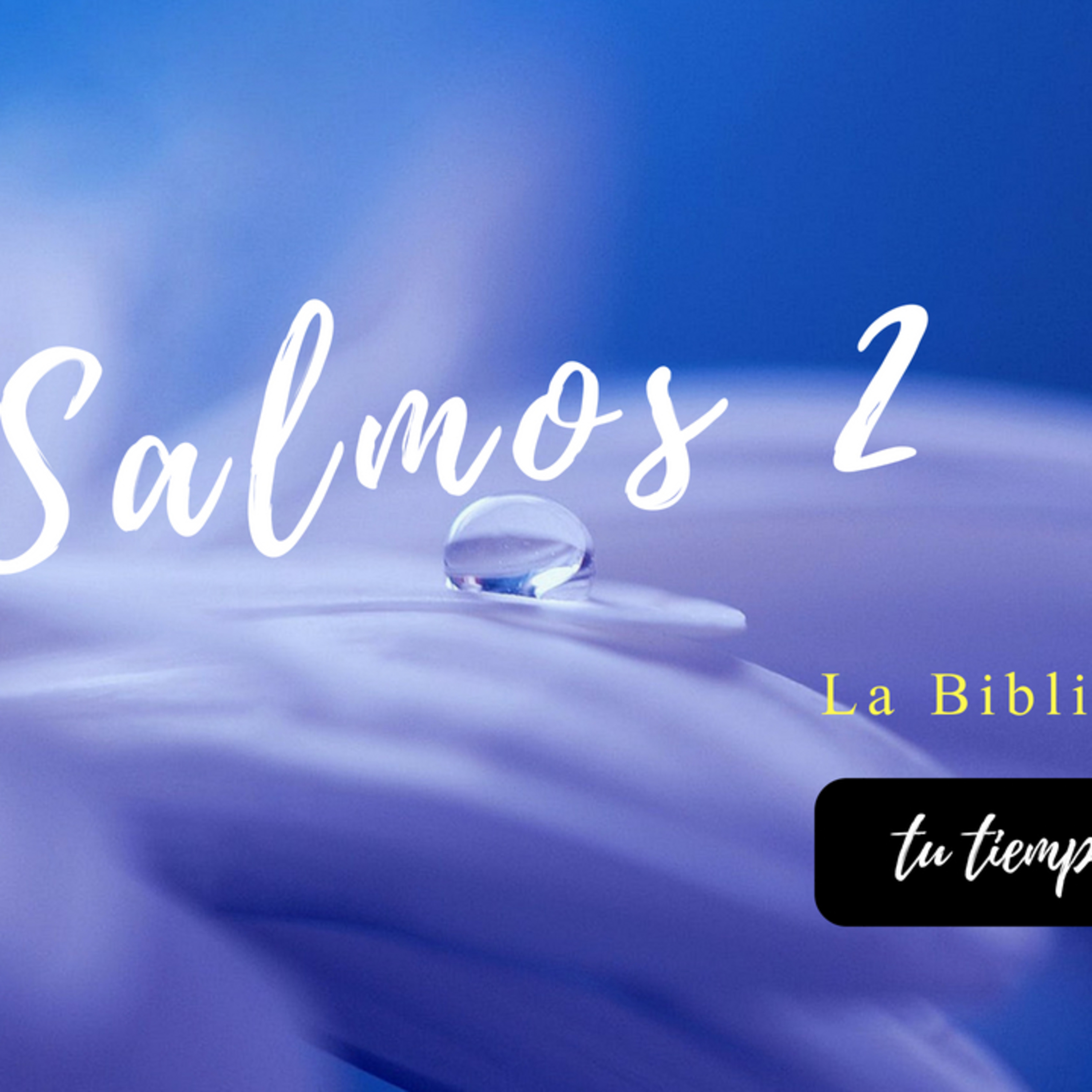 Bienvenidos!!