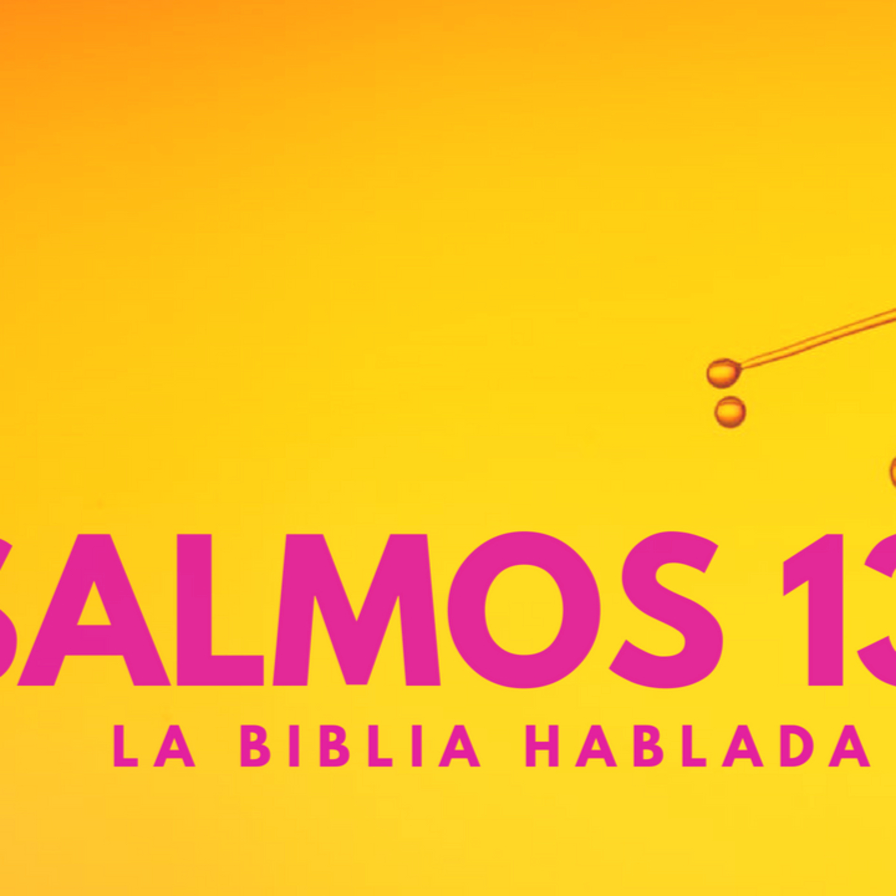 Bienvenidos!!