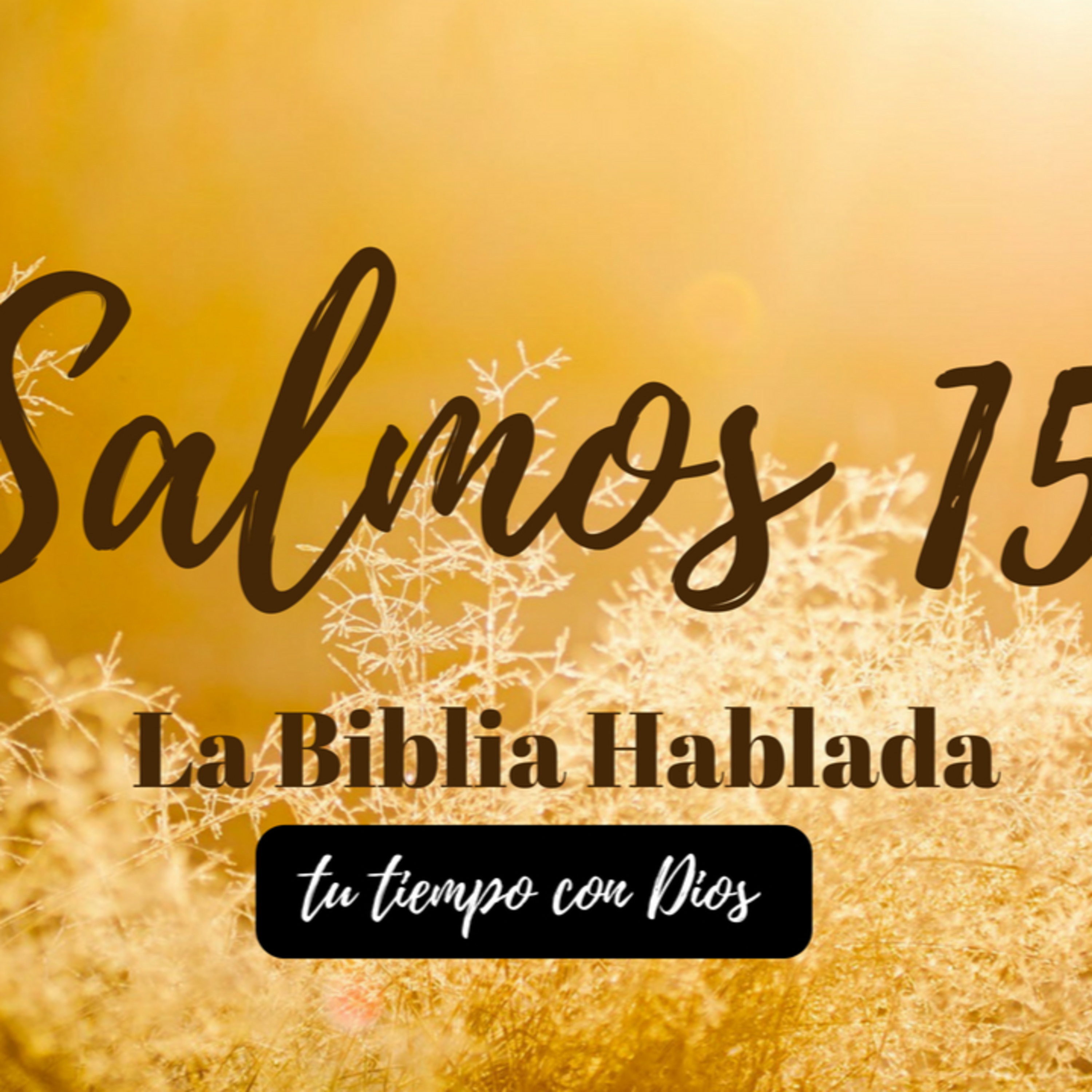 Bienvenidos!!