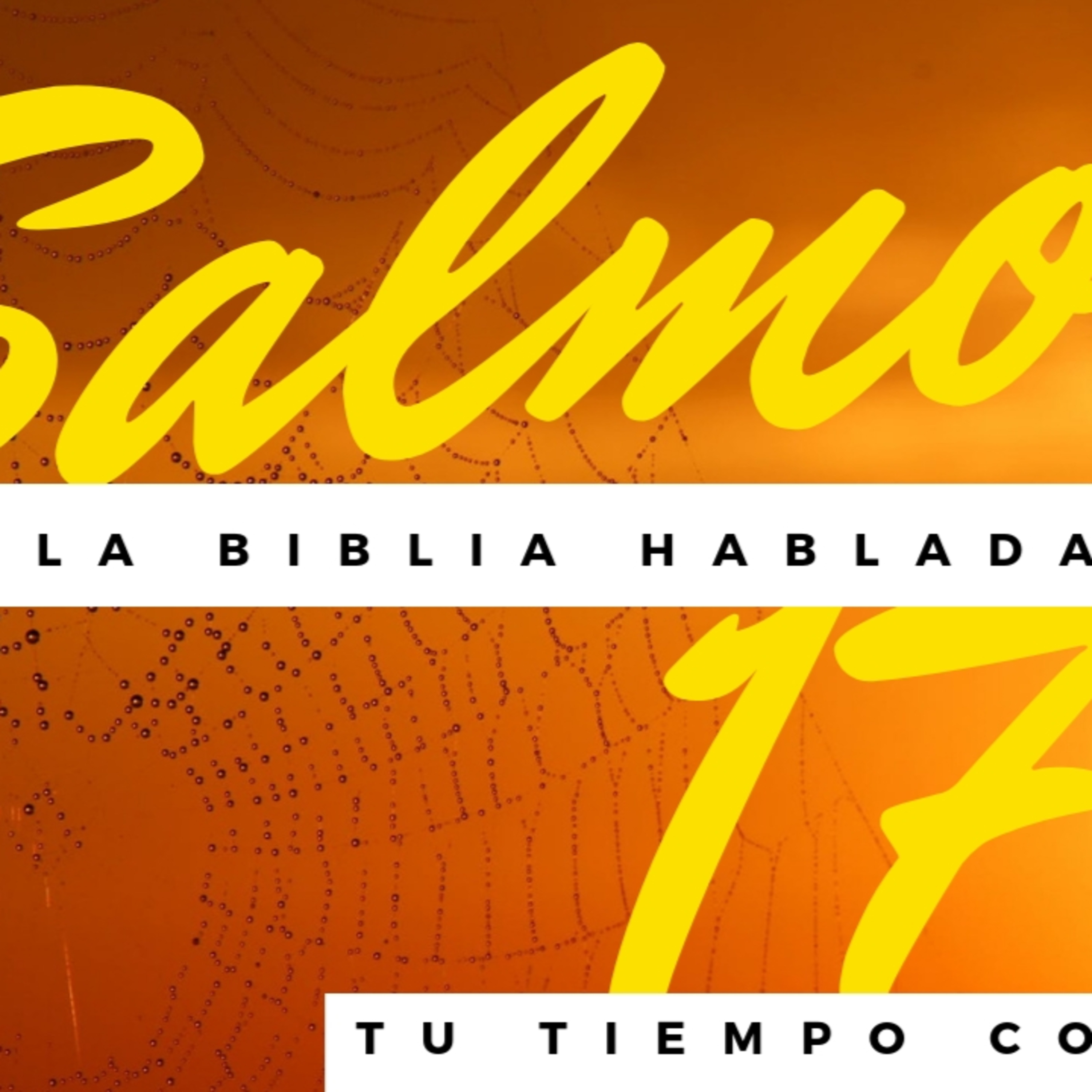 Bienvenidos!!