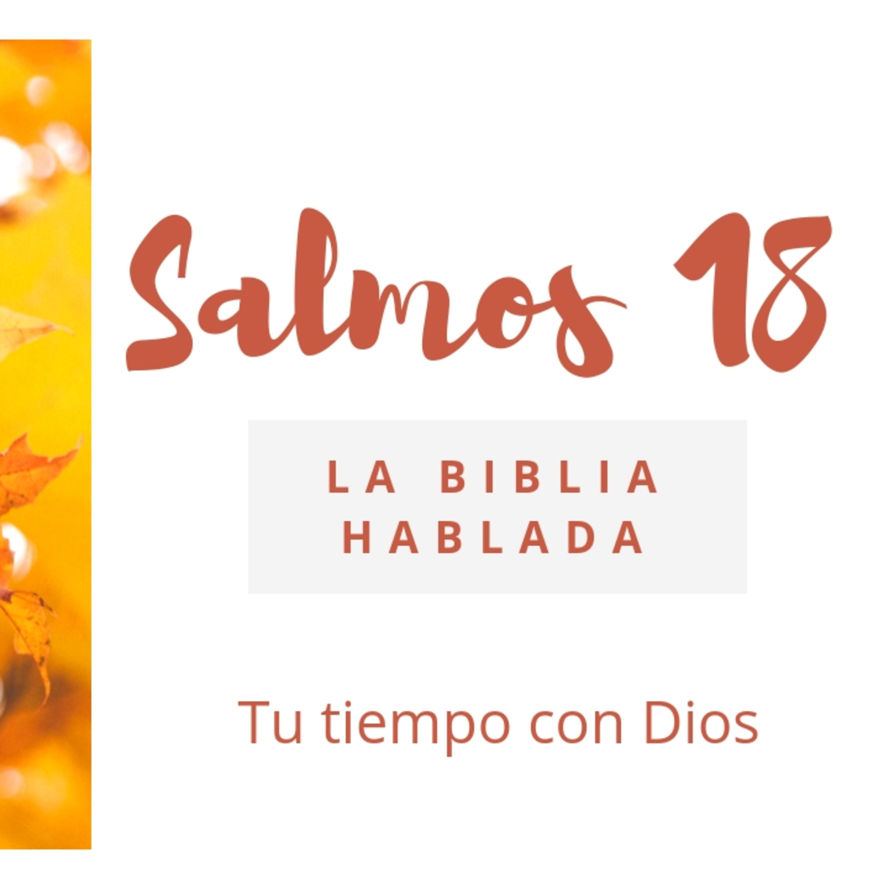 Bienvenidos!!