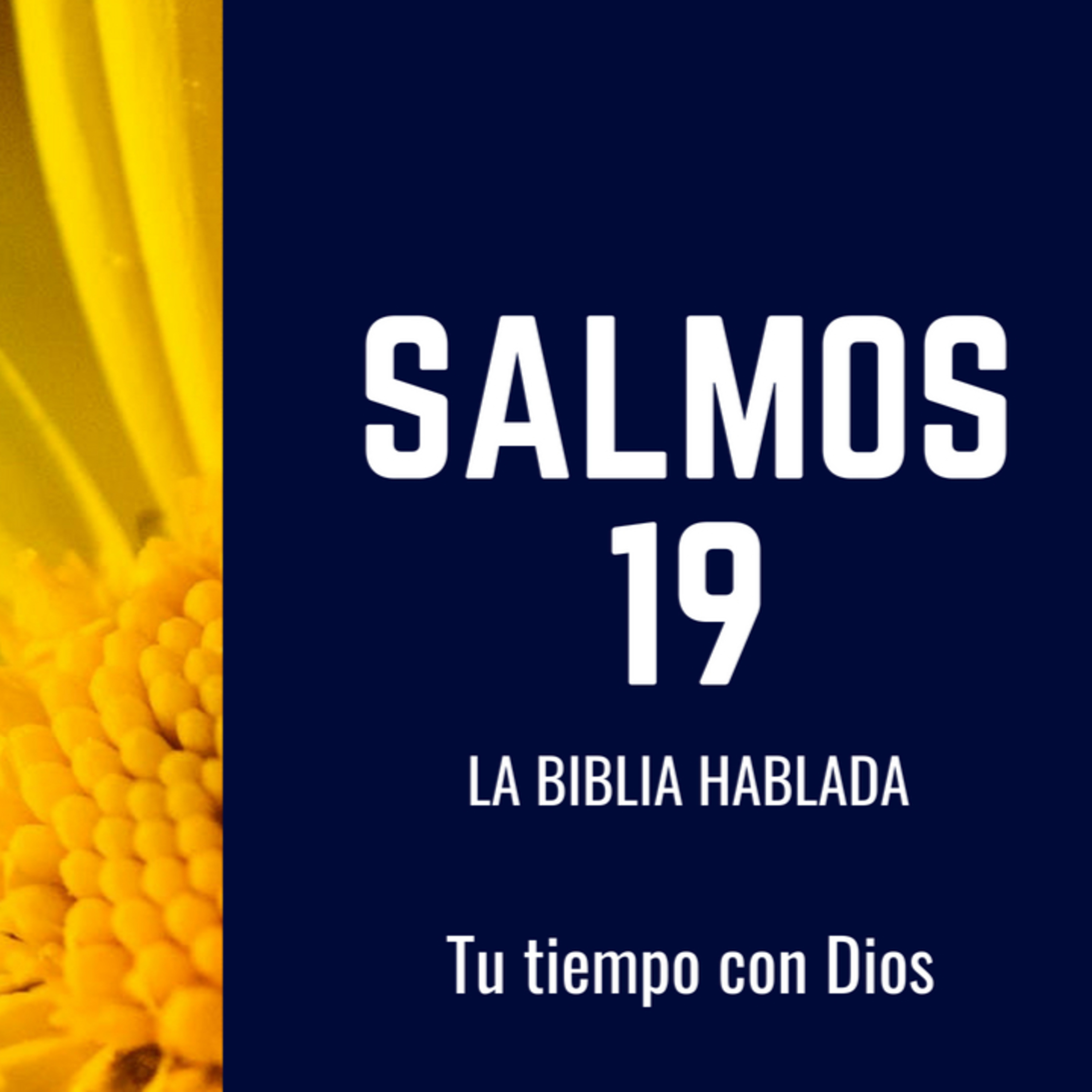 Bienvenidos!!