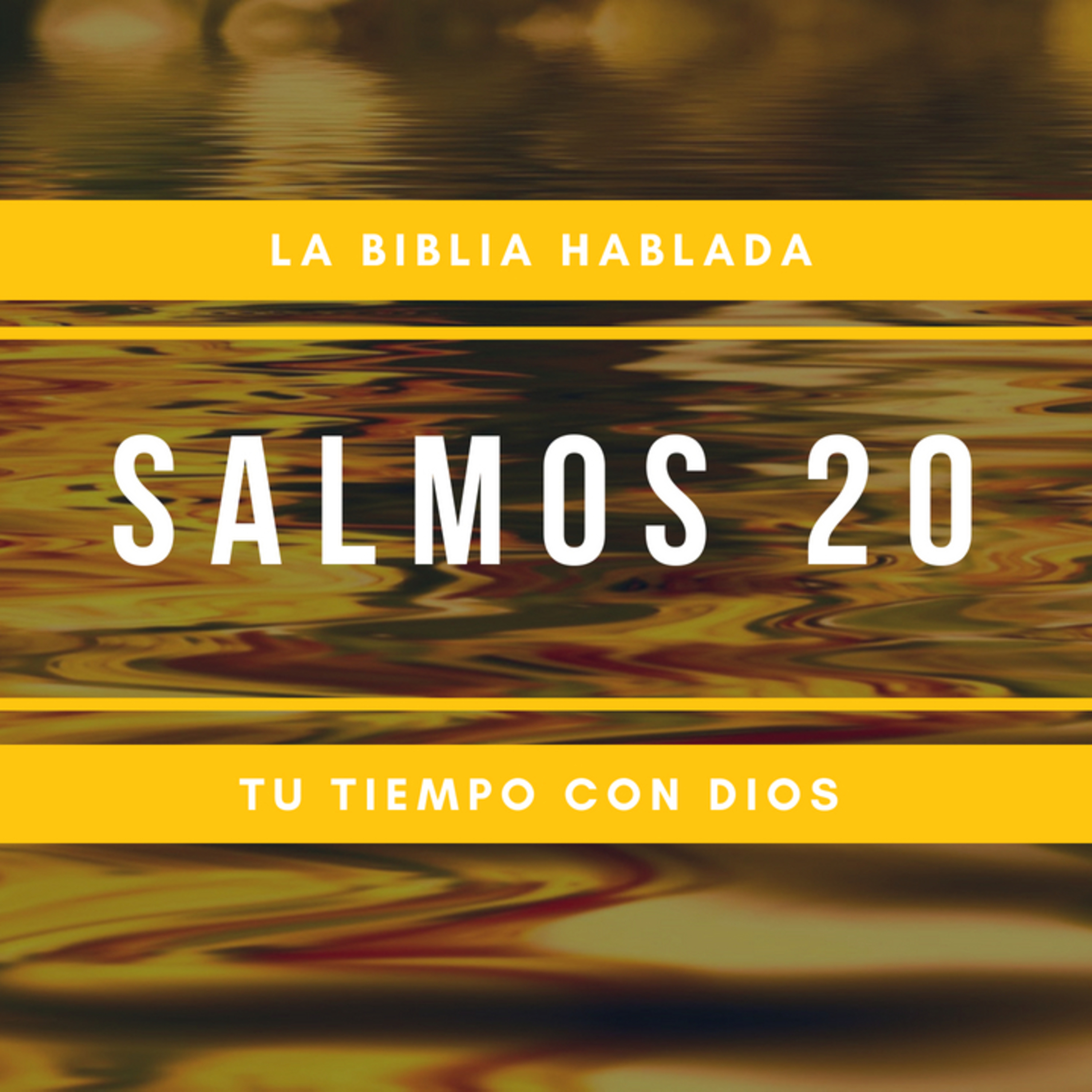 Bienvenidos!!